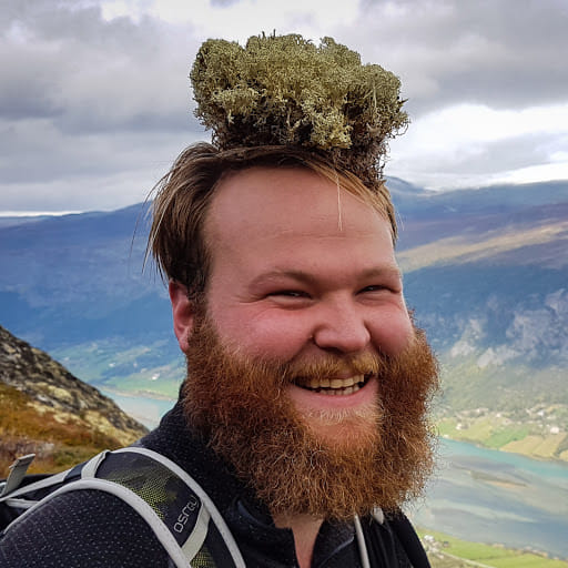 Steinar