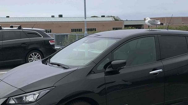 Nissan Leaf med Vinterdekk