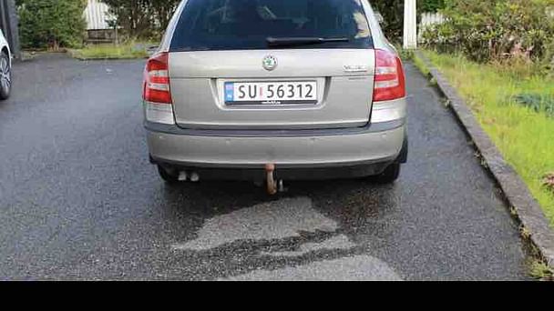 Skoda Octavia Combi med Sykkelstativ