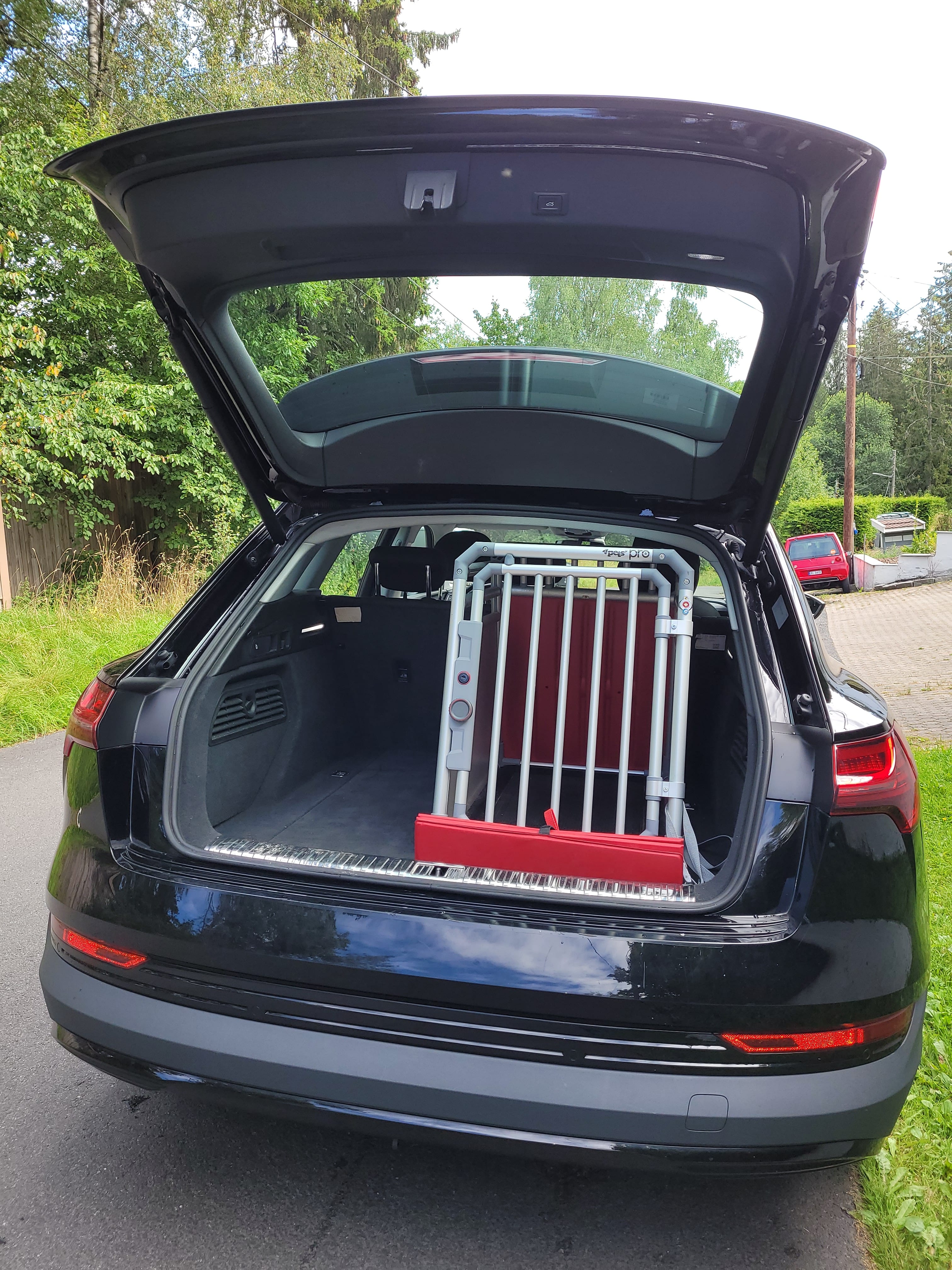 Audi e-tron med Skistativ