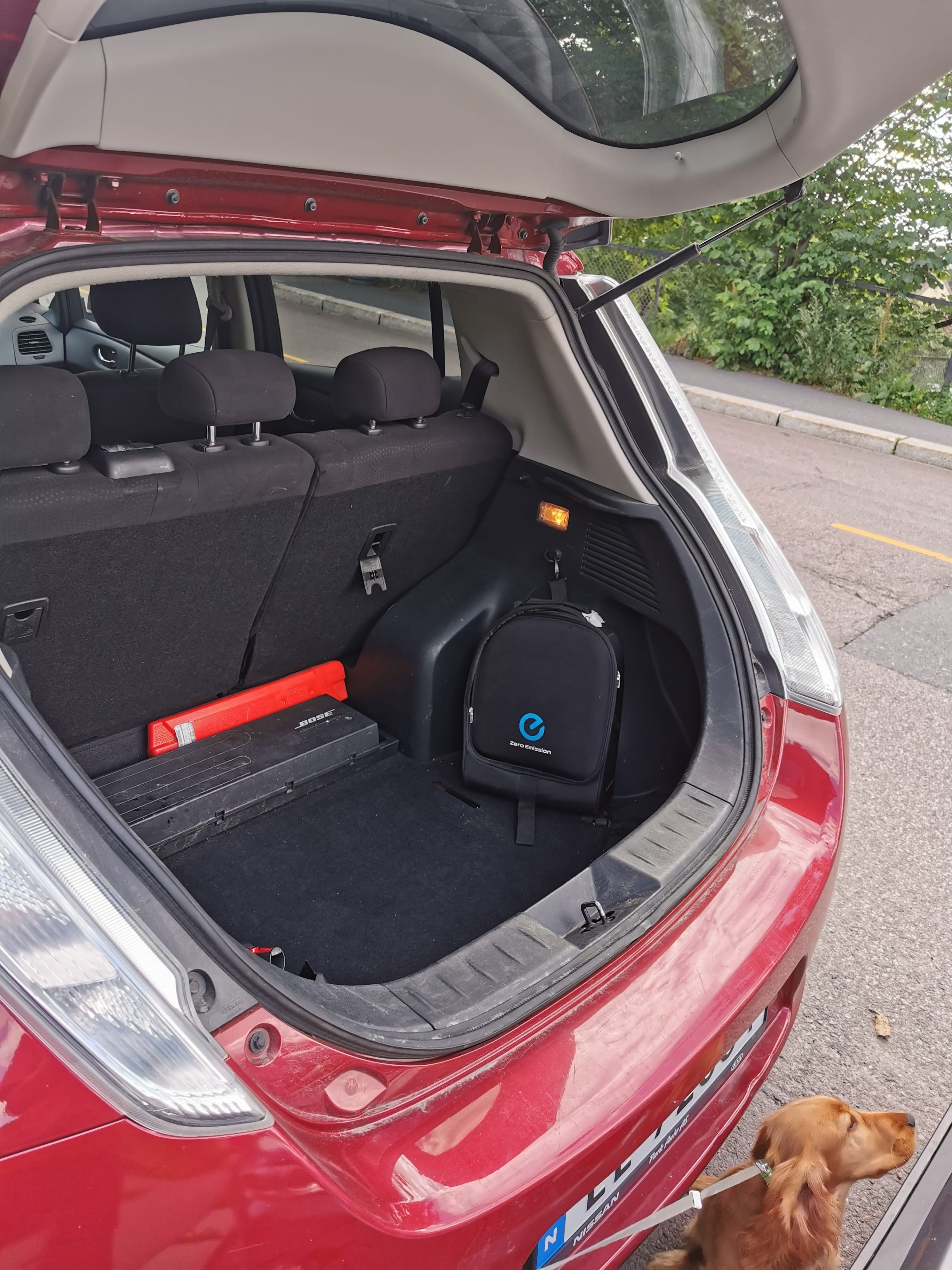 Nissan Leaf mit Navigationsgerät