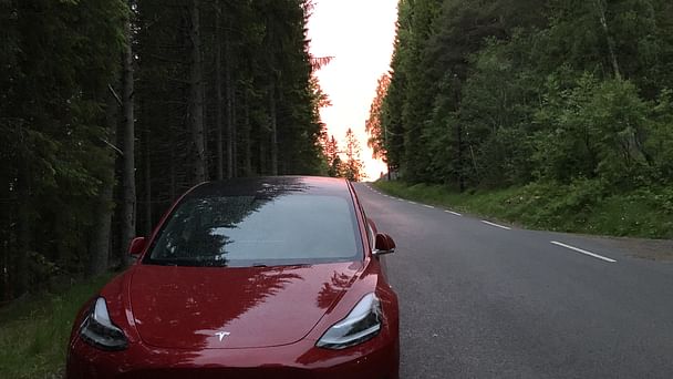 Tesla Model 3, 2019, Bensin, automatisk