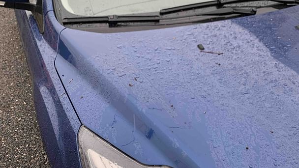 Ford Focus SW med Vinterdekk