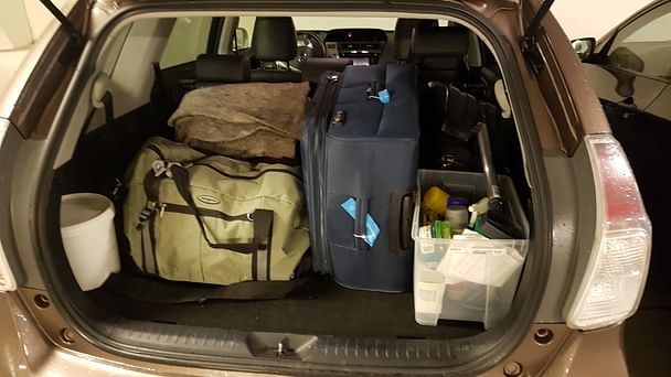 Toyota Prius +