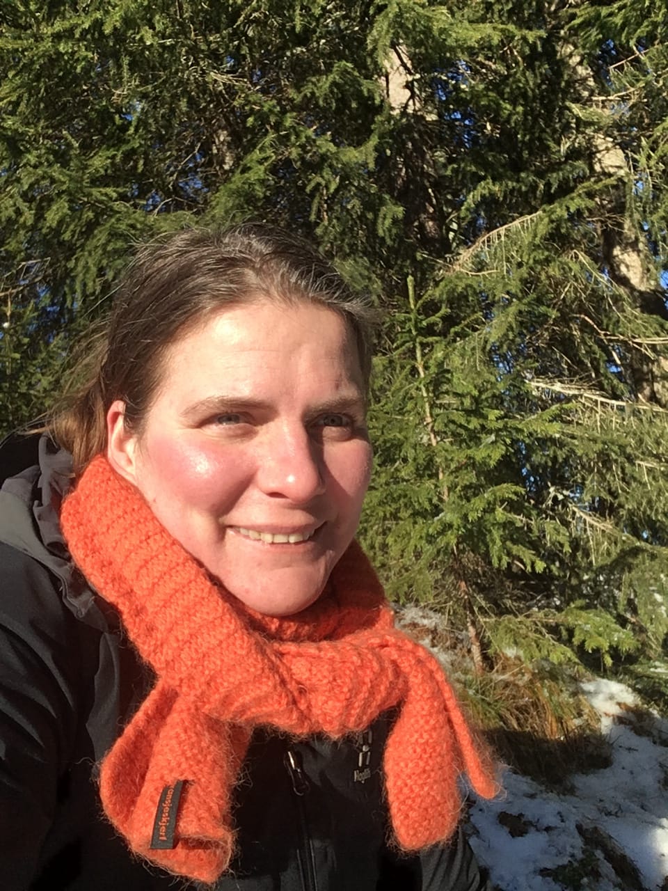 Karine Véronique Marie