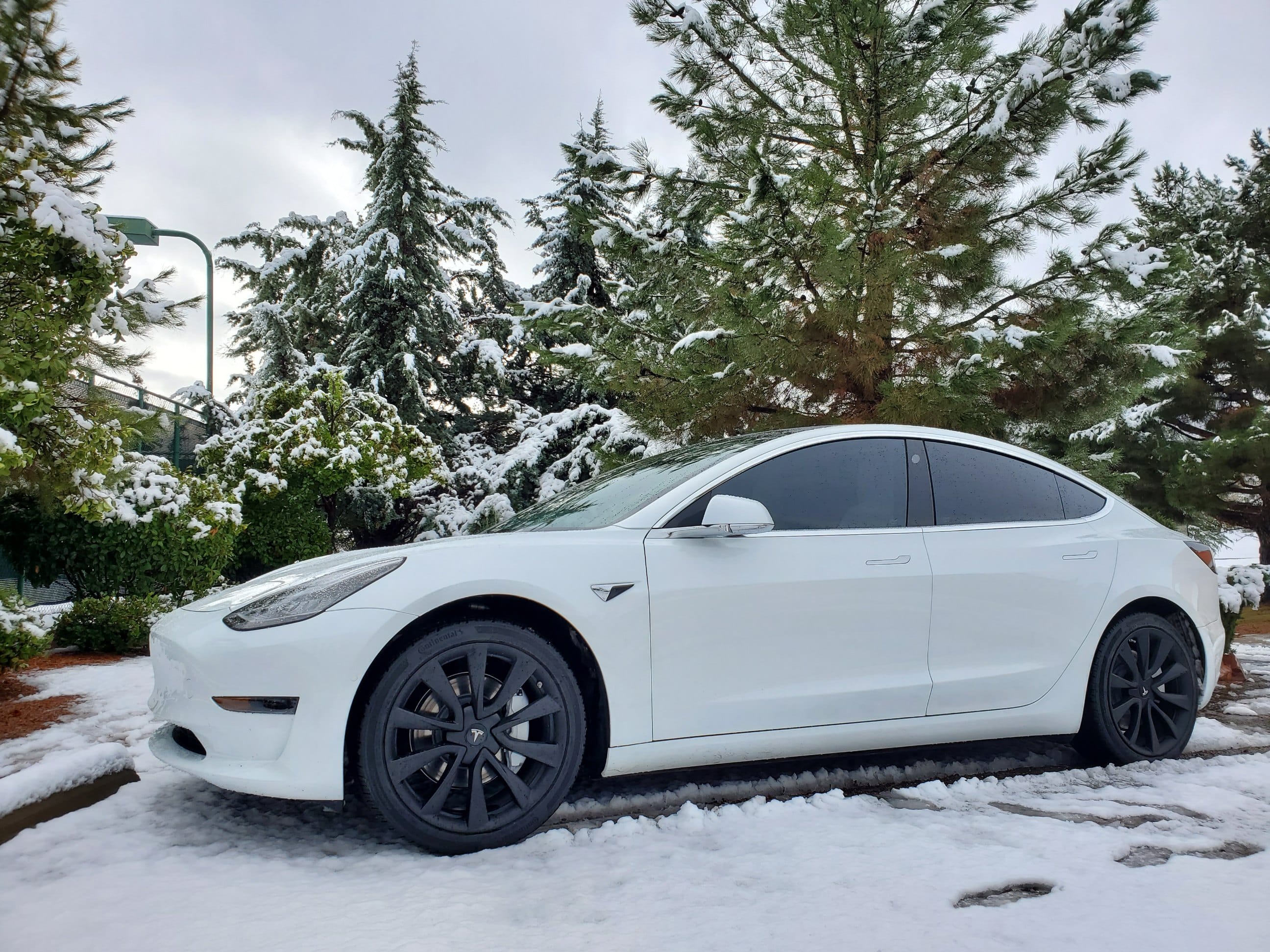 Tesla Model 3 mit Anhängerkupplung