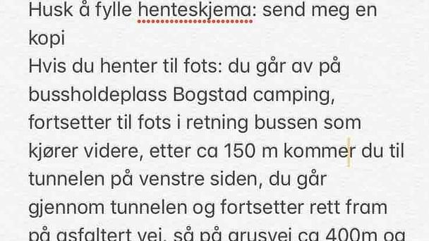 Renault ZOE med Vinterdekk