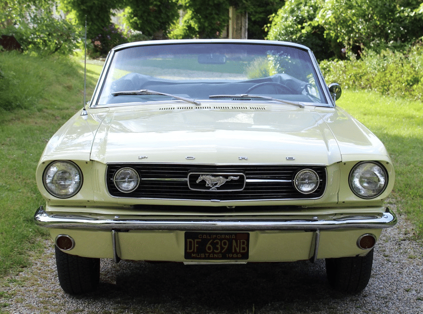 Ford Mustang, 1966, Essence 98
