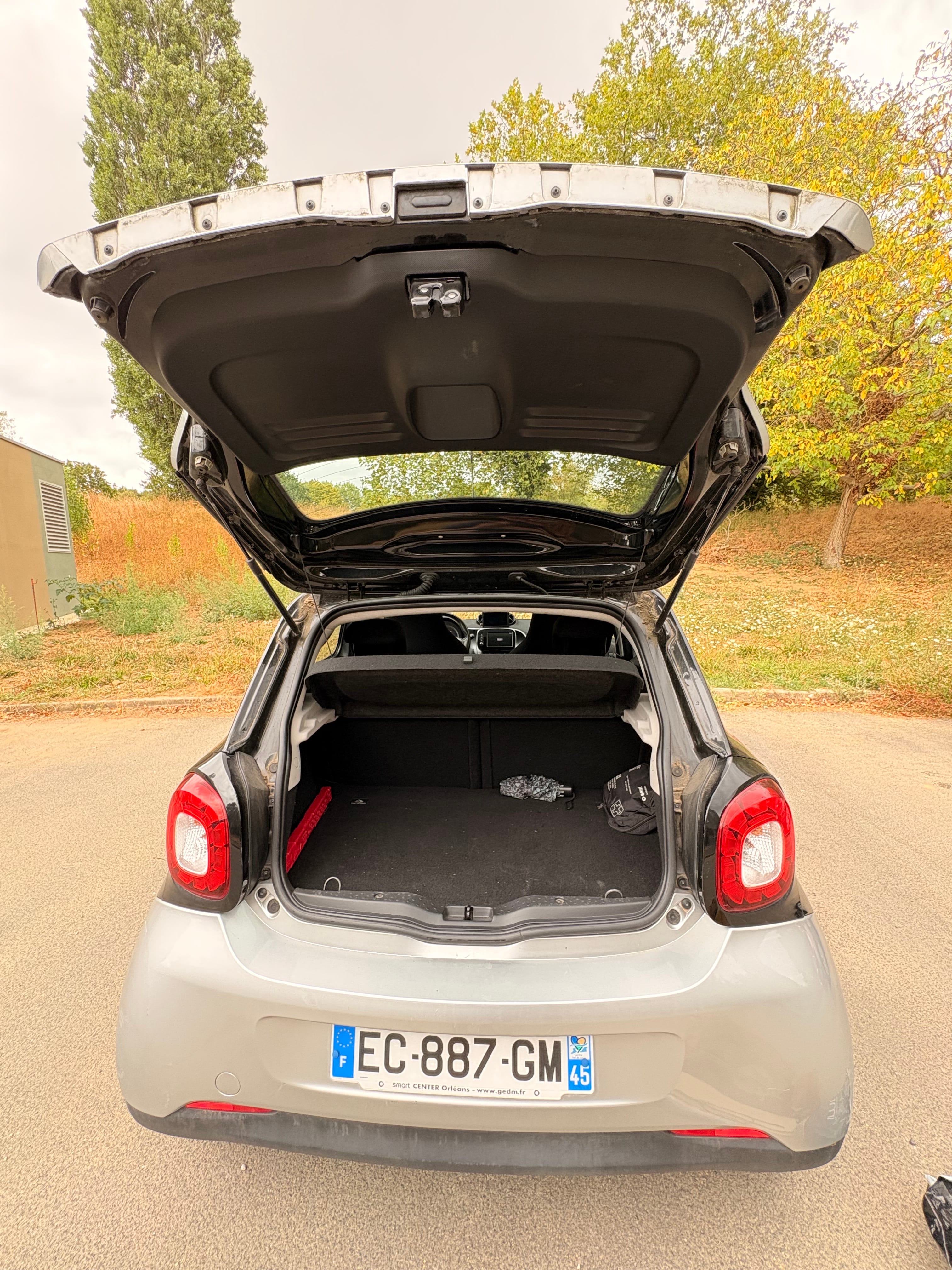 Smart Forfour avec GPS
