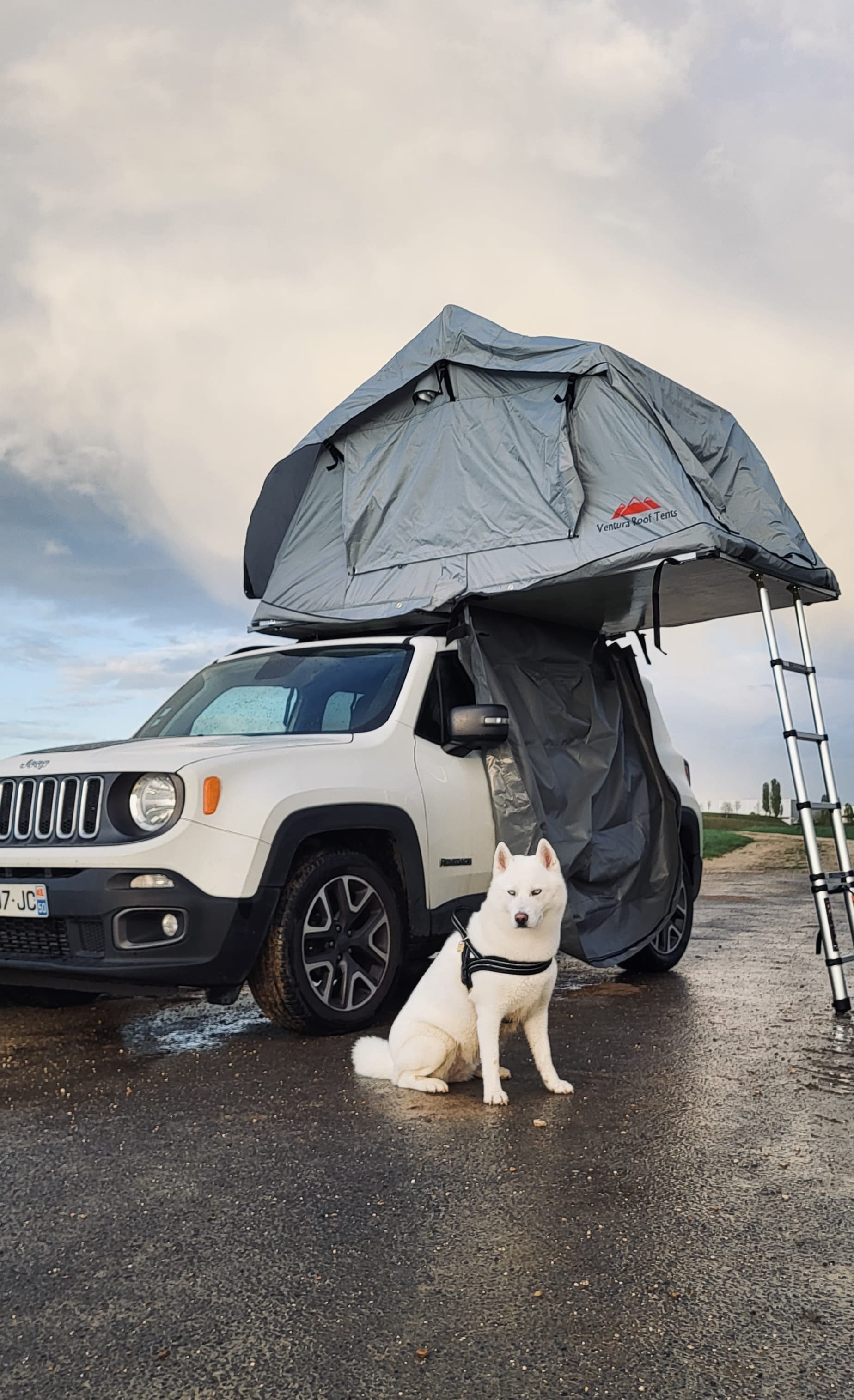 Jeep Renegade avec Climatisation