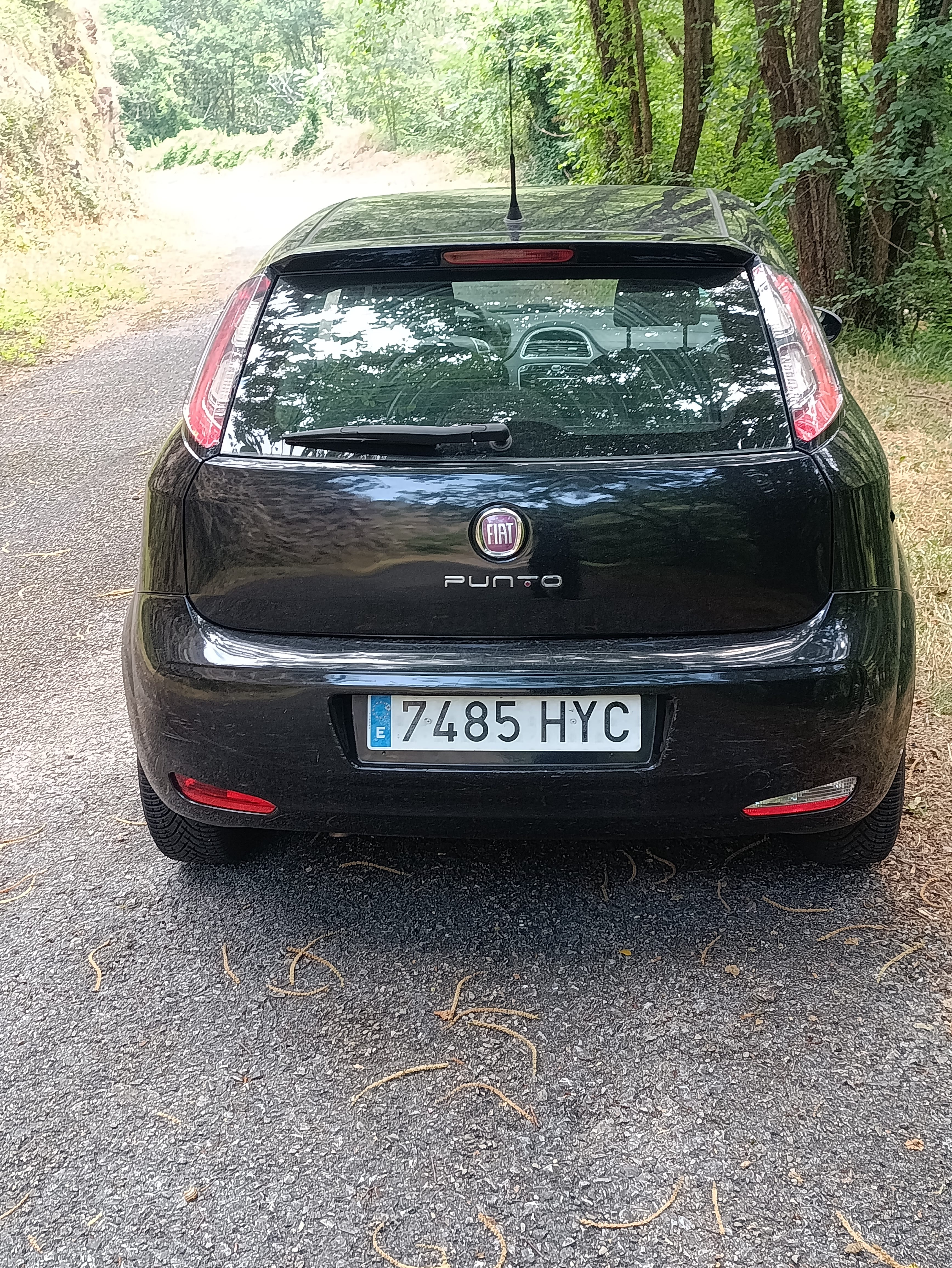 Fiat Punto med Cruisekontroll