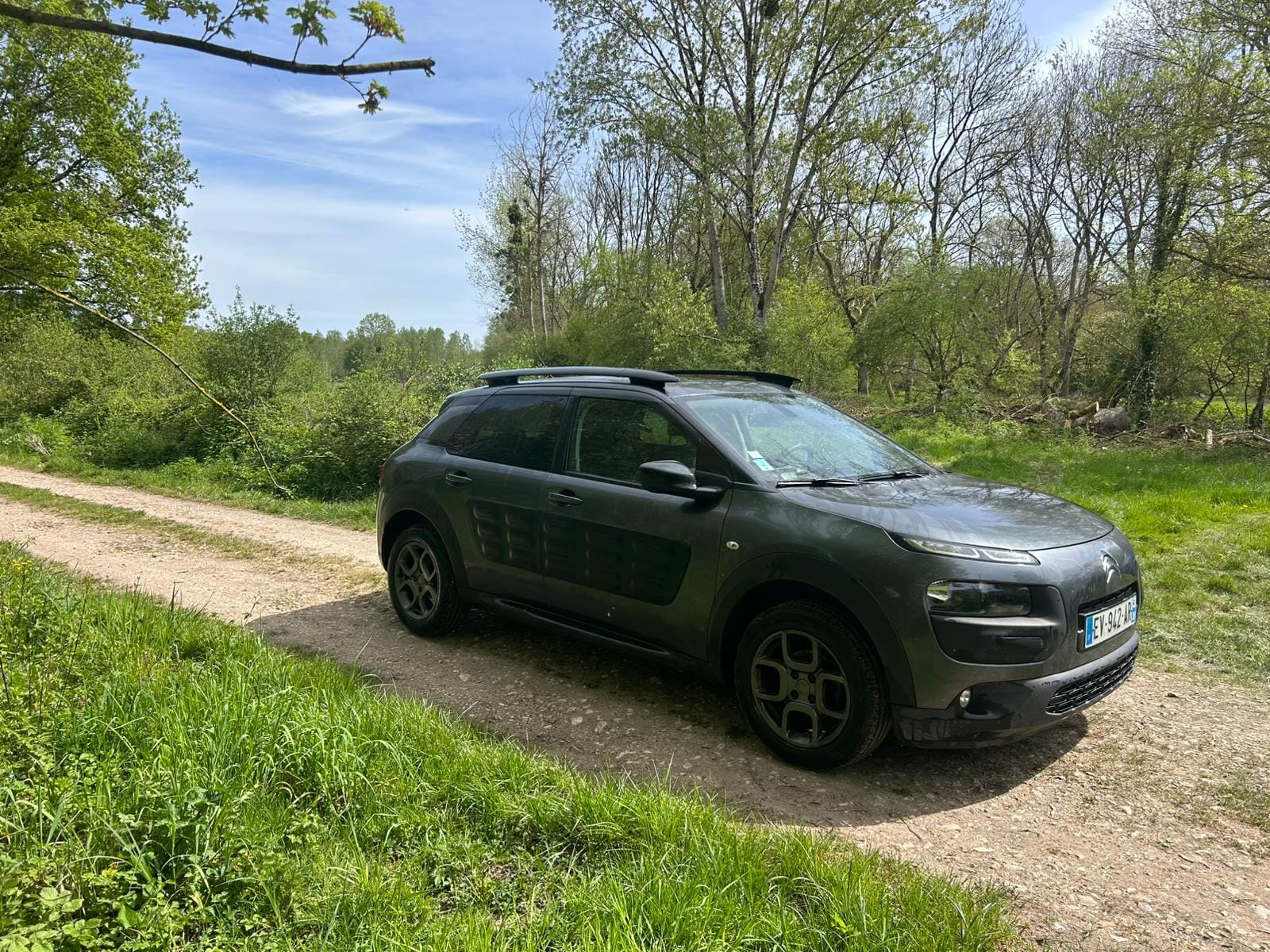 Citroen C4 Cactus avec Audio Bluetooth