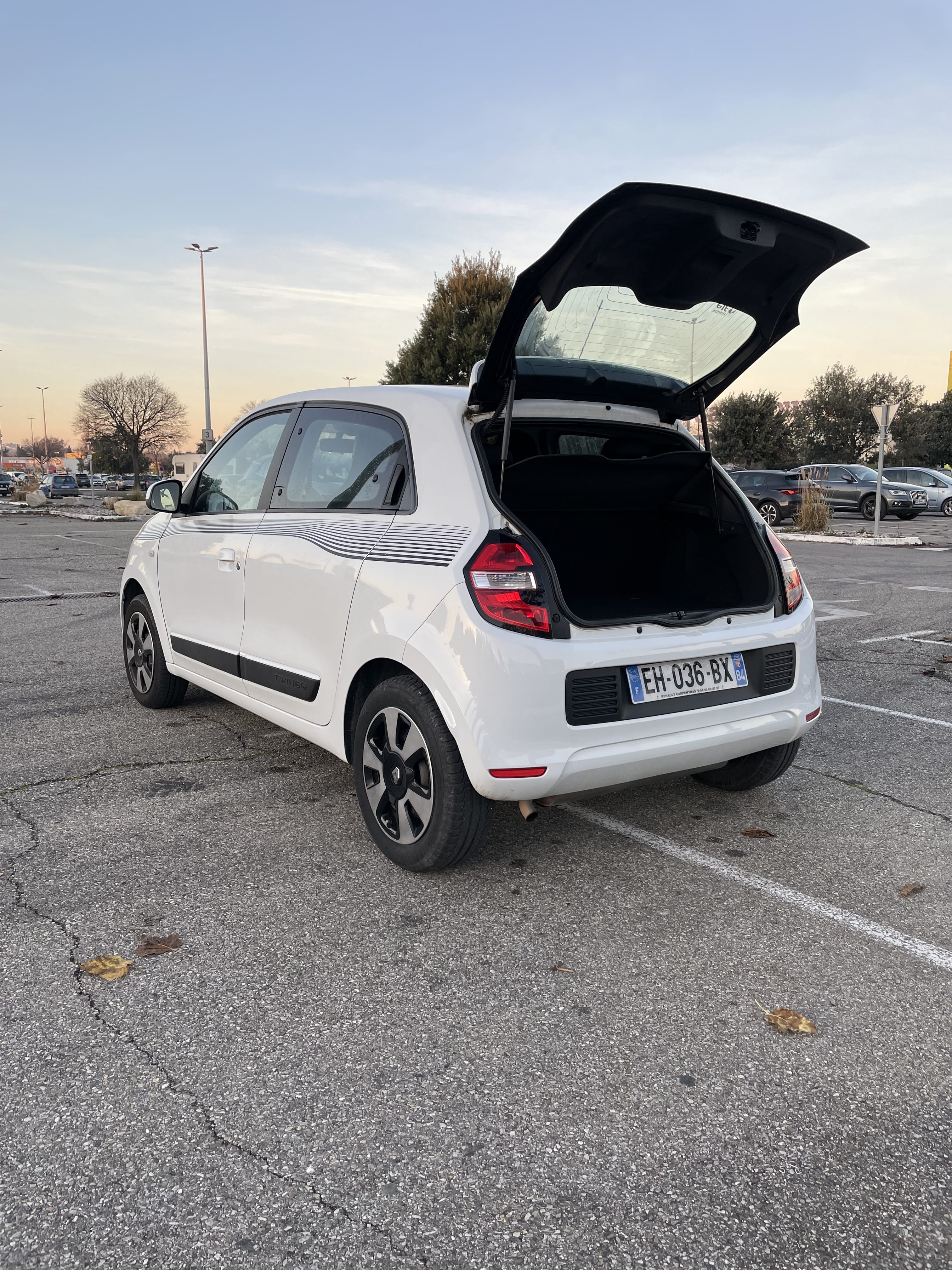 Renault Twingo avec Siège bébé
