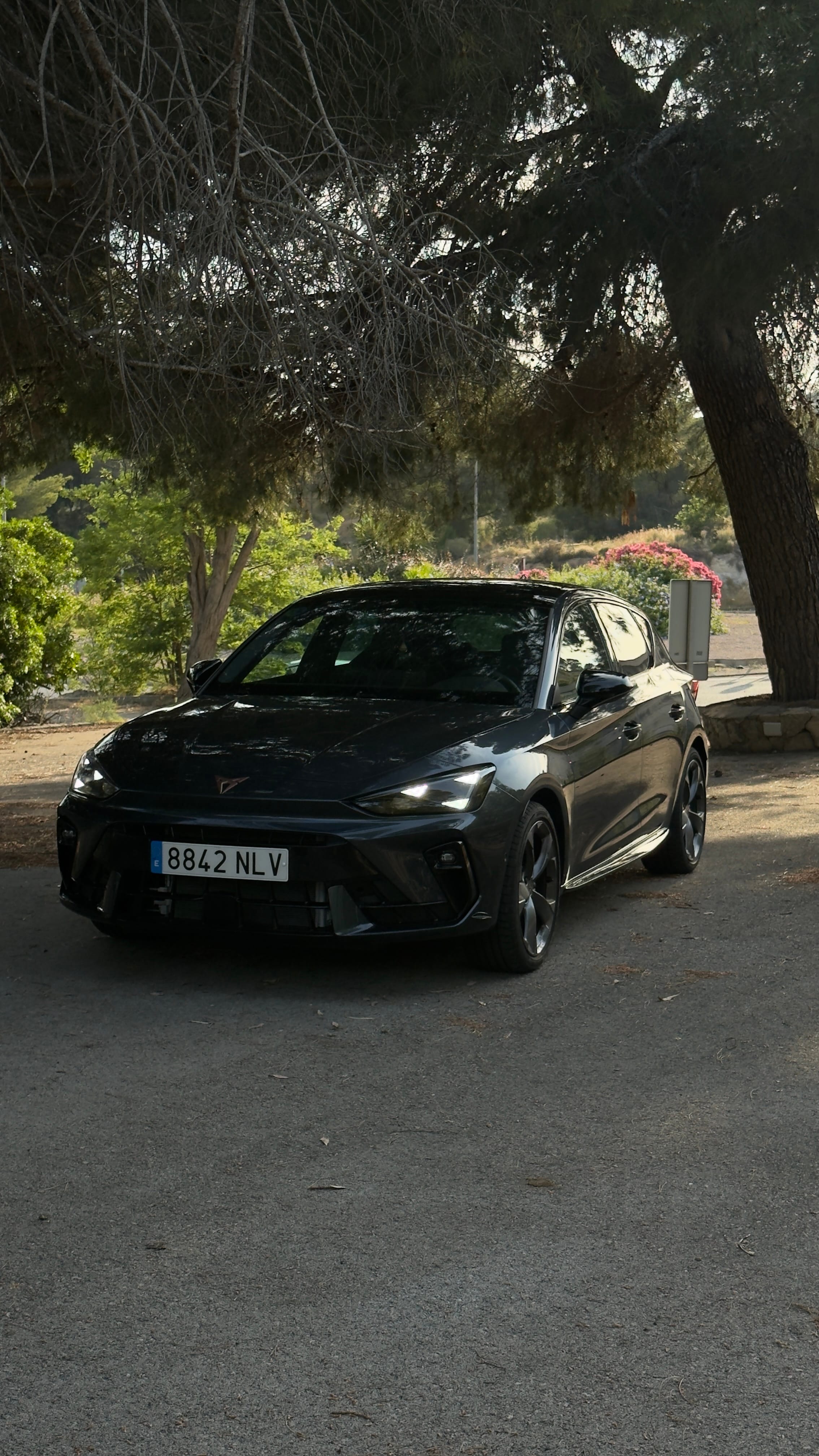 Cupra Leon 1.5 TFSI Turbo Híbrido, 2026, Gasolina 95 / Eléctrico (híbrido), Automático