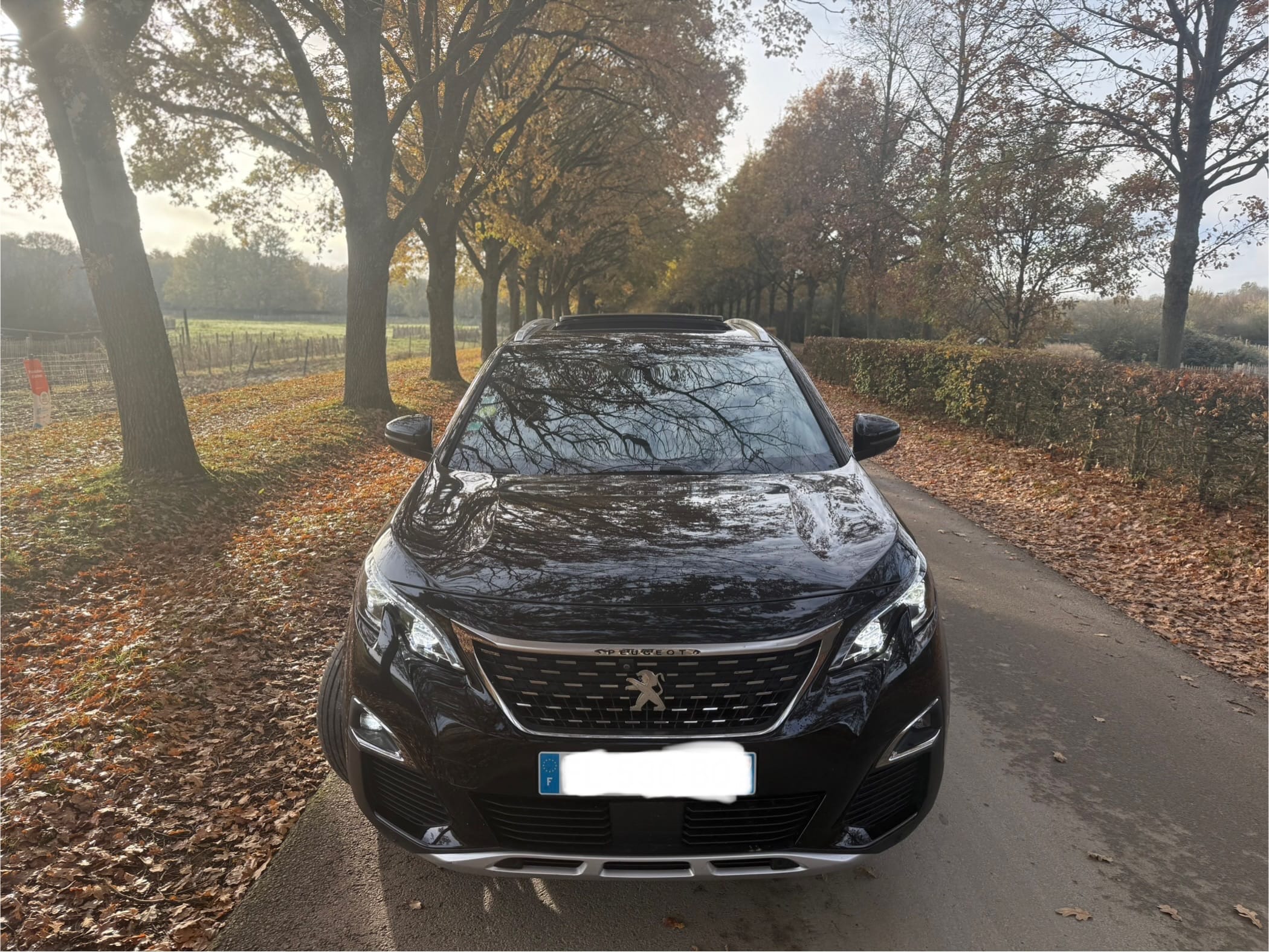 Peugeot 3008 avec Audio Bluetooth