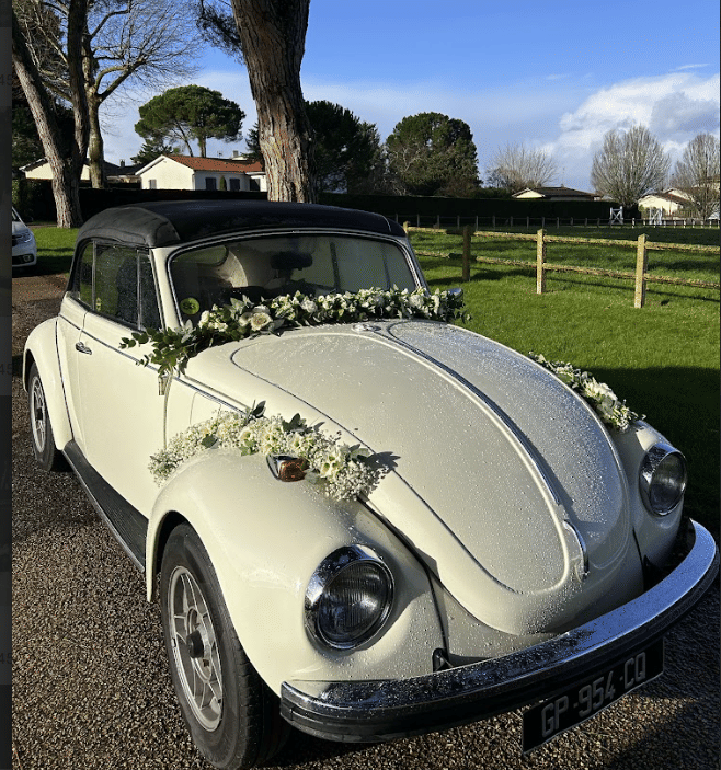 Volkswagen Coccinelle