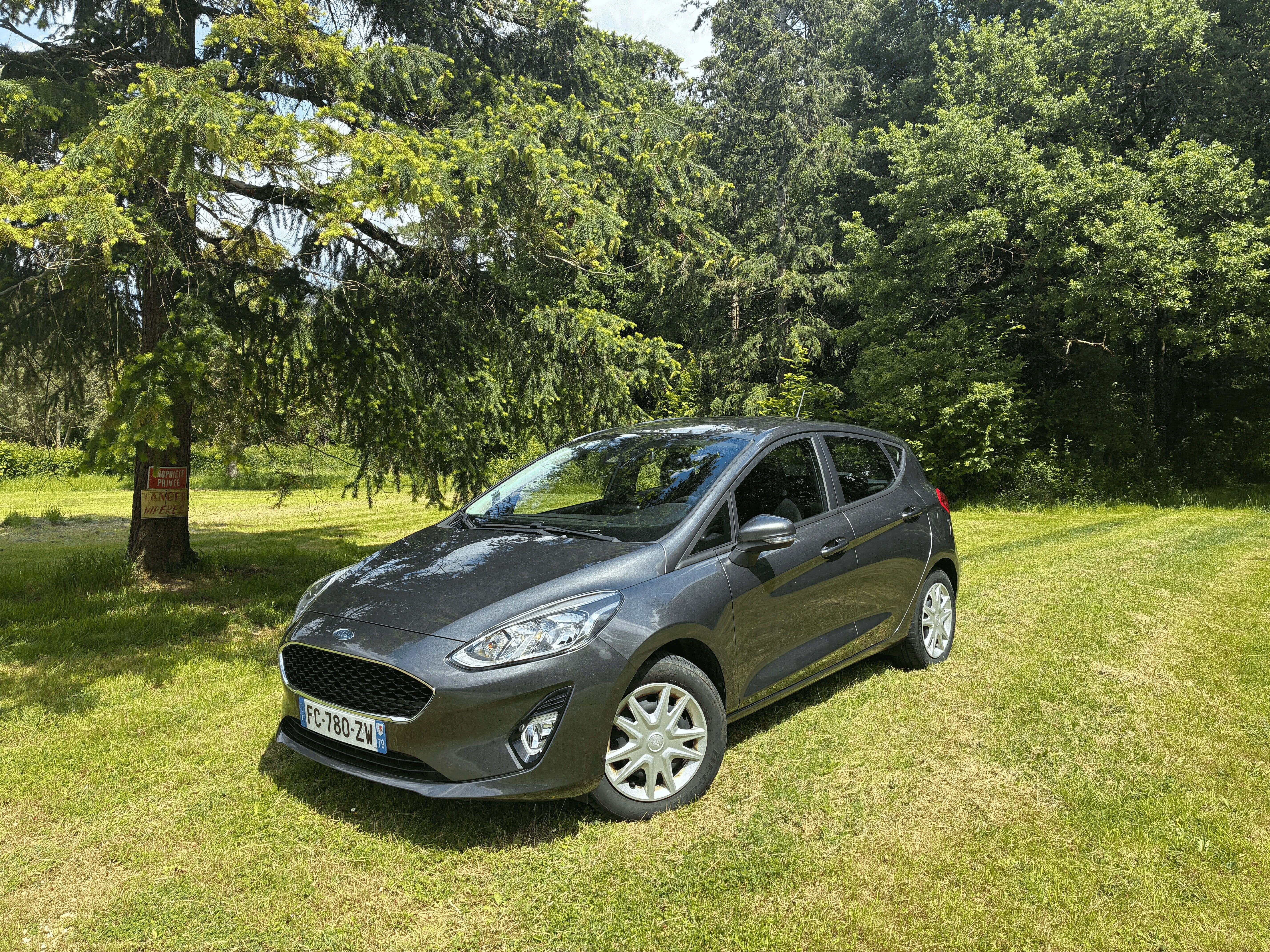 Ford Fiesta, 2019, Essence 95