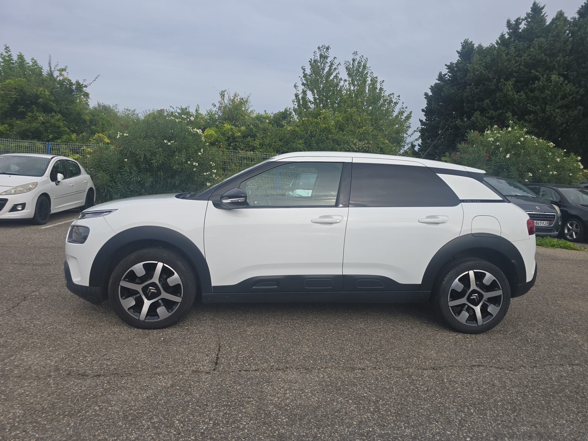 Citroen C4 Cactus met Airco