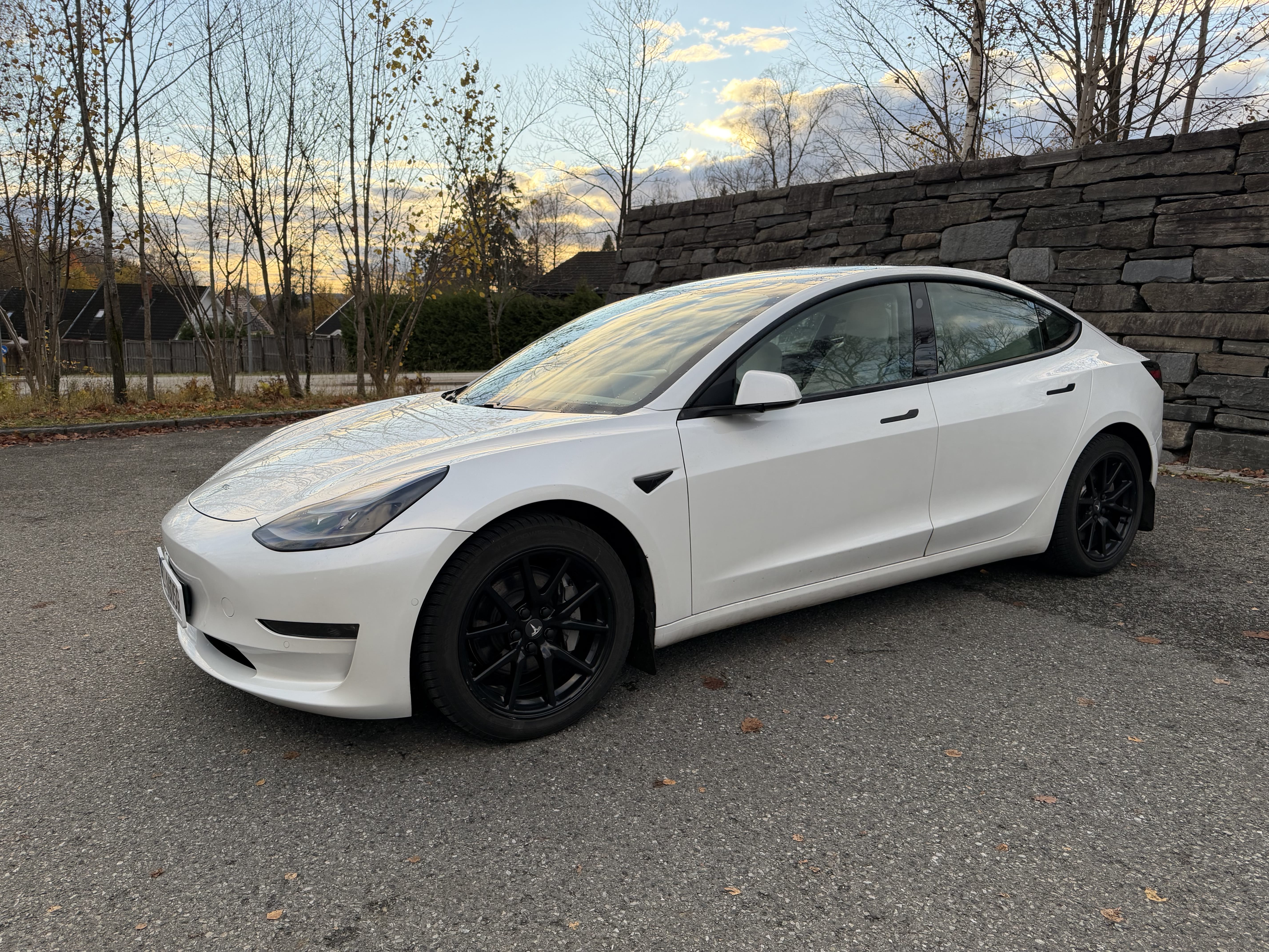 Tesla Model 3 Long range 4x4 480-500 HP, 2020, Electric, automatic