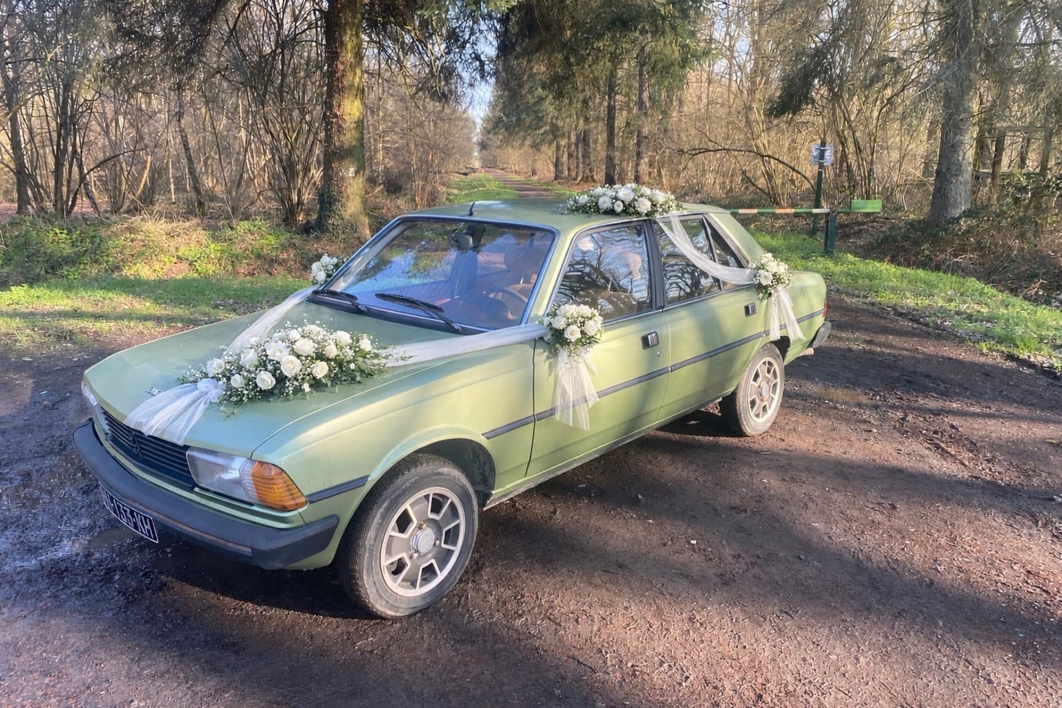 Peugeot 305