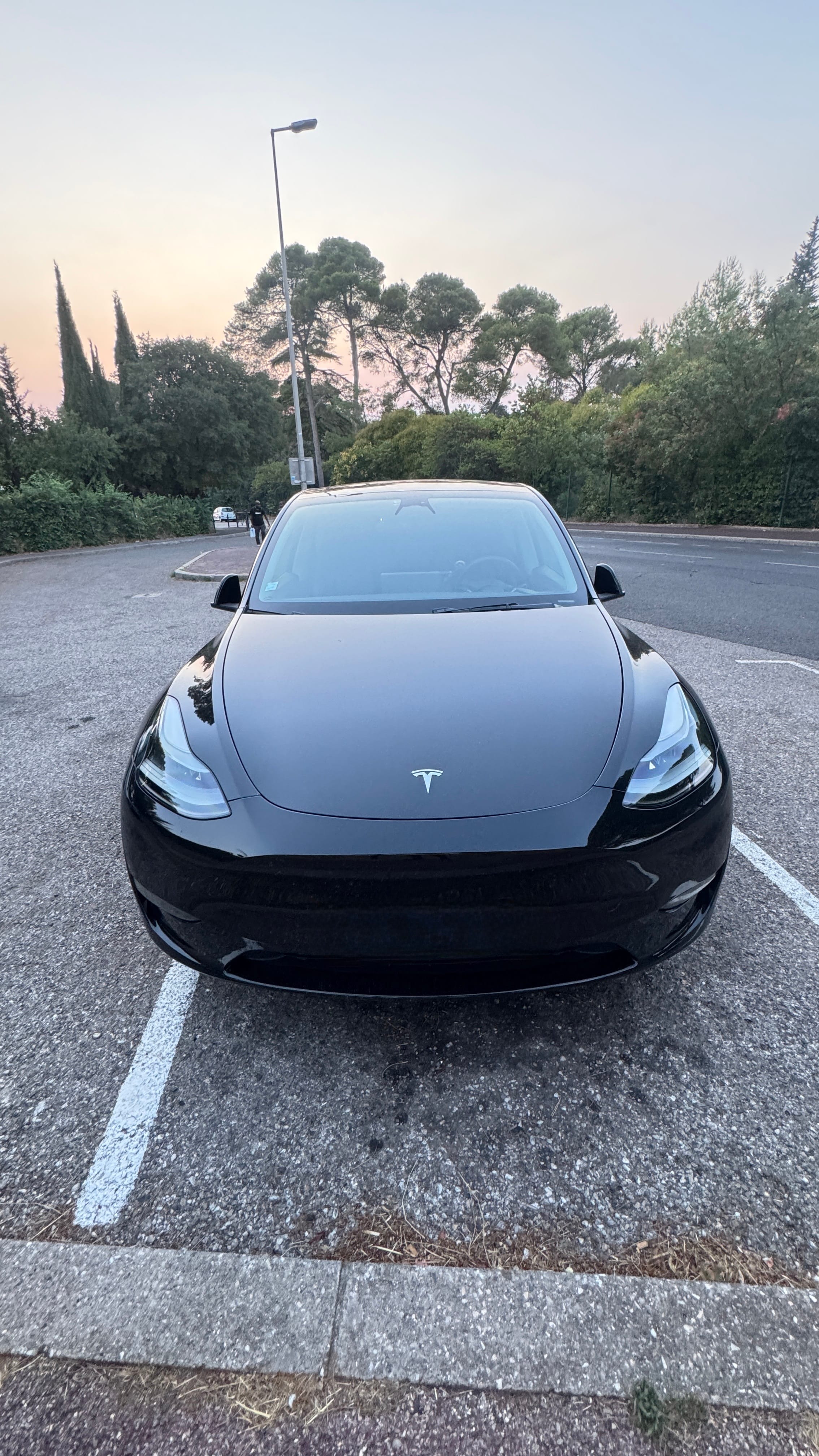 Tesla Model Y met Cruise control