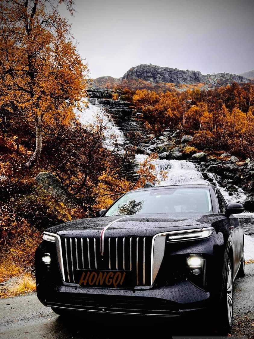 Hongqi E-HS9, 2022, Elektro, Automatik, 6 Sitze