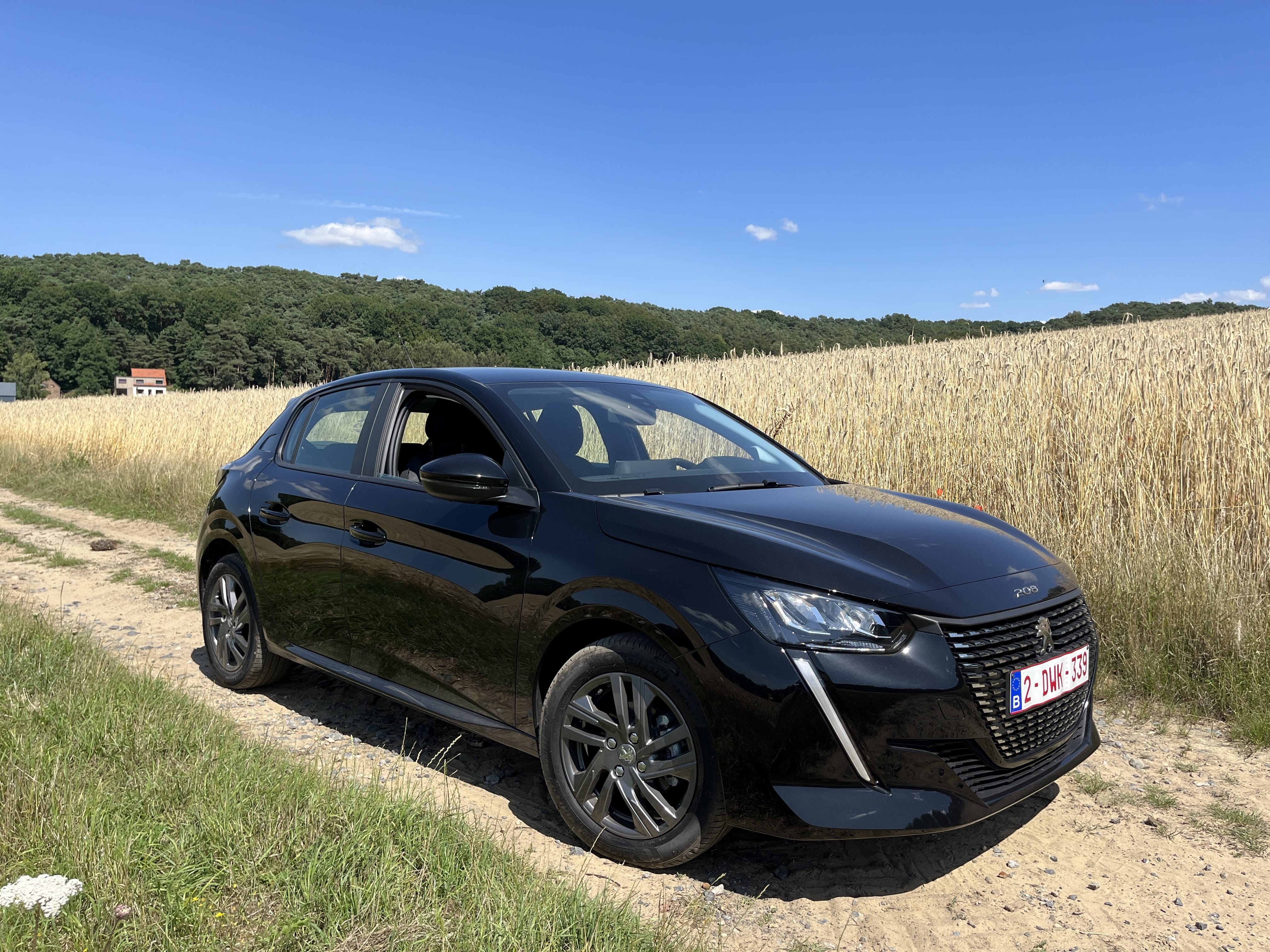 Peugeot 208, 2022, Euro 95 (E10)