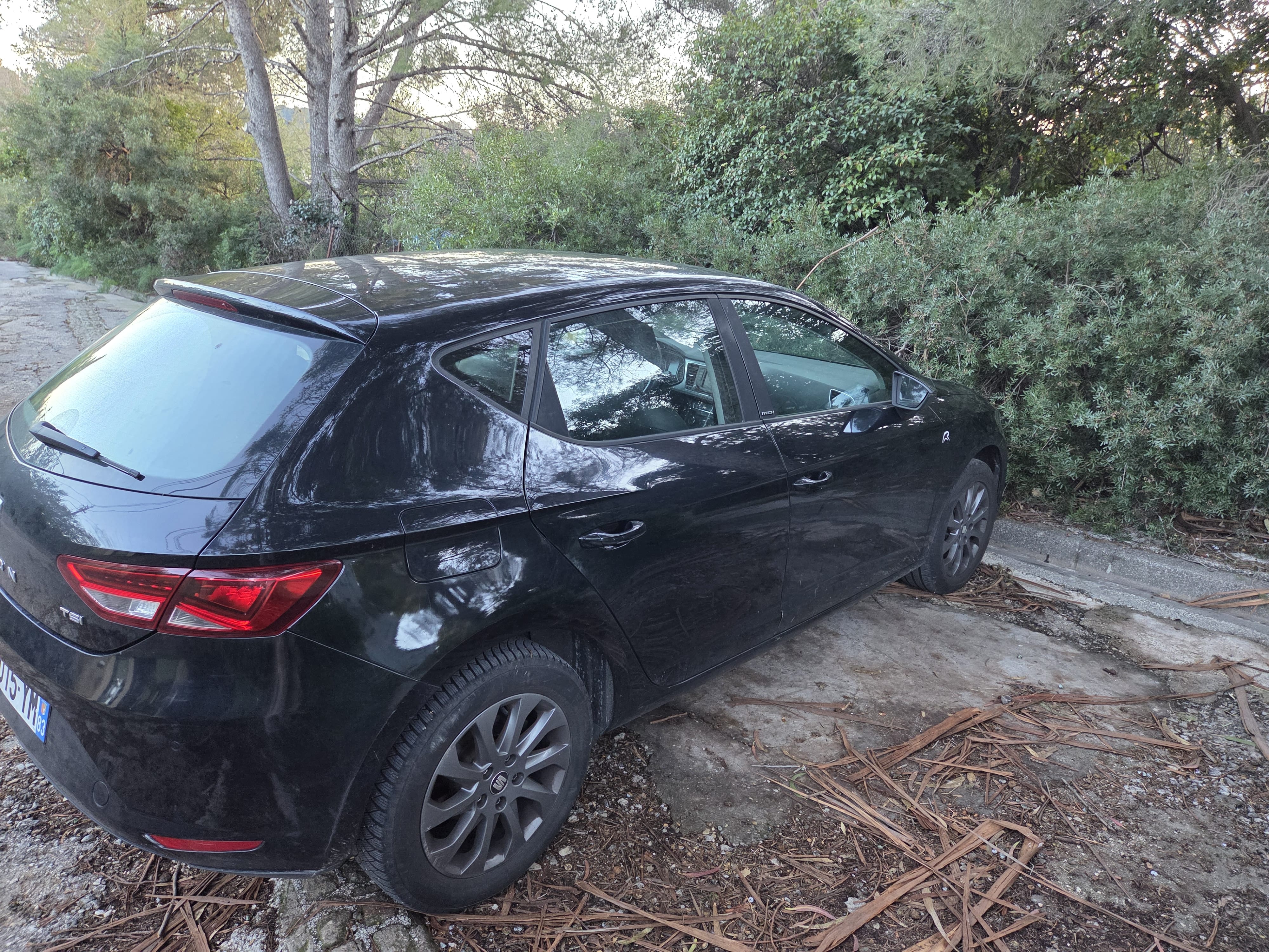 Seat Leon Bioéthanol E85 avec Chaines
