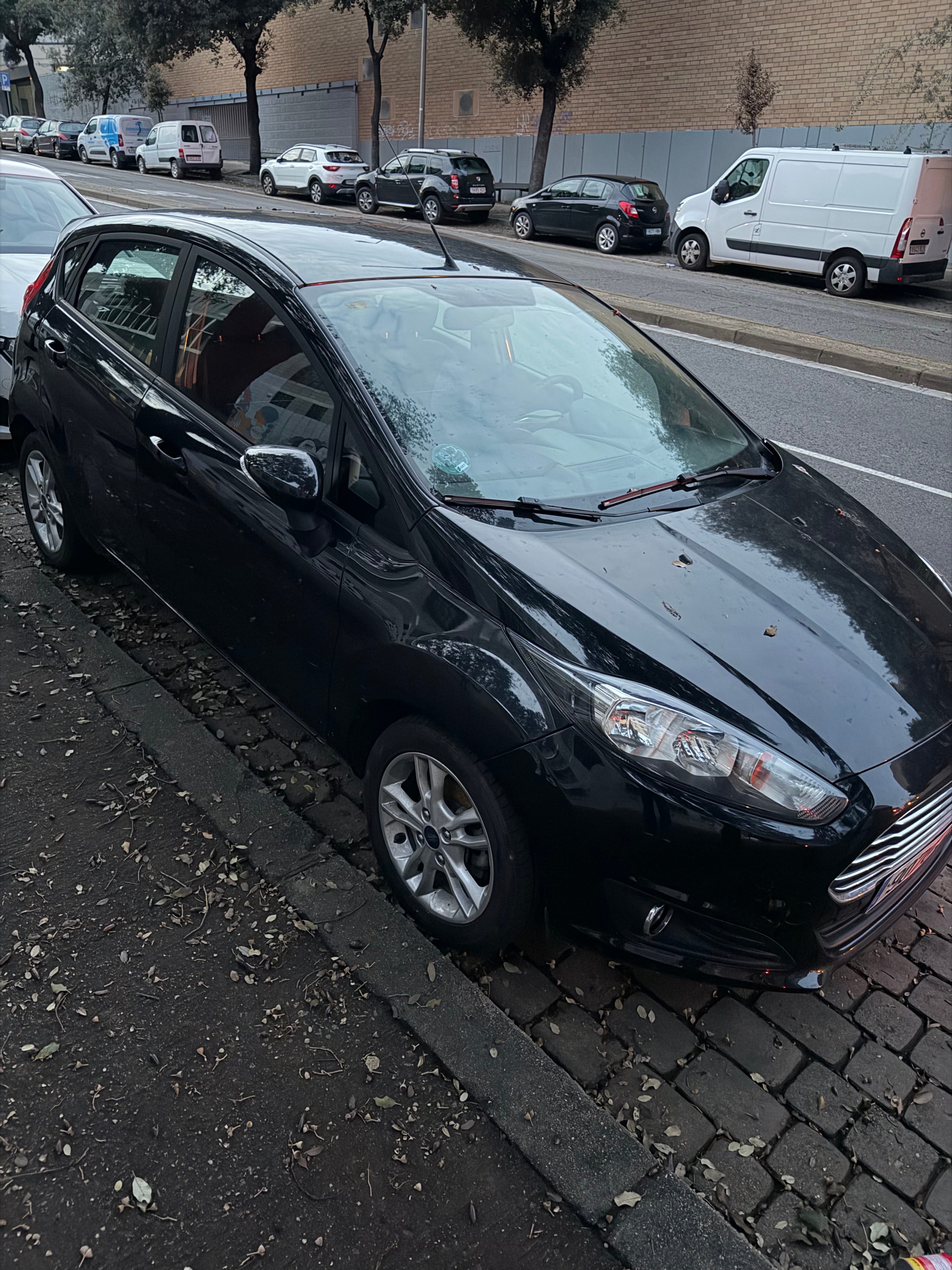 Ford Fiesta, 2015, Gasolina 95