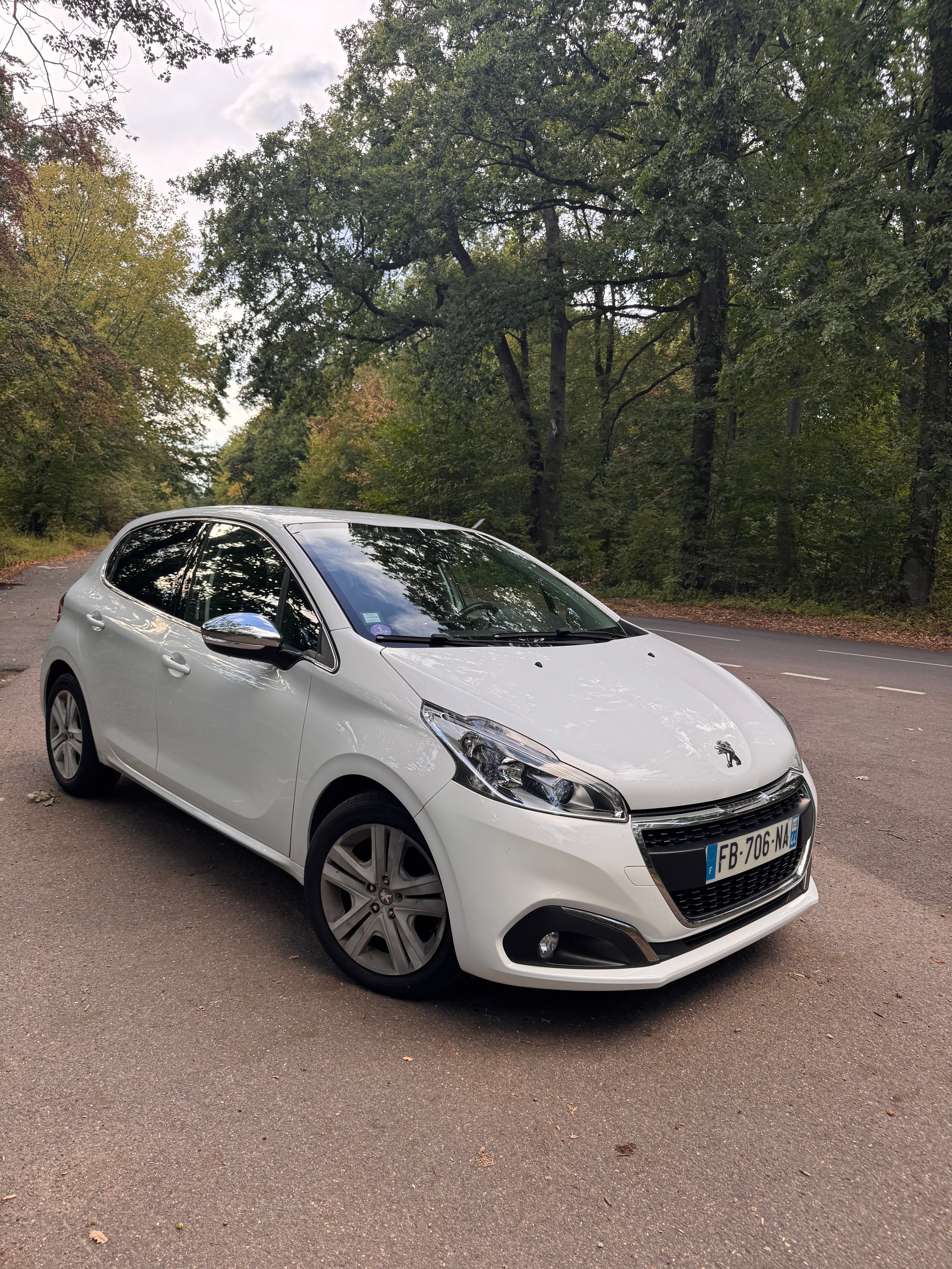 Peugeot 208 avec Régulateur de vitesse