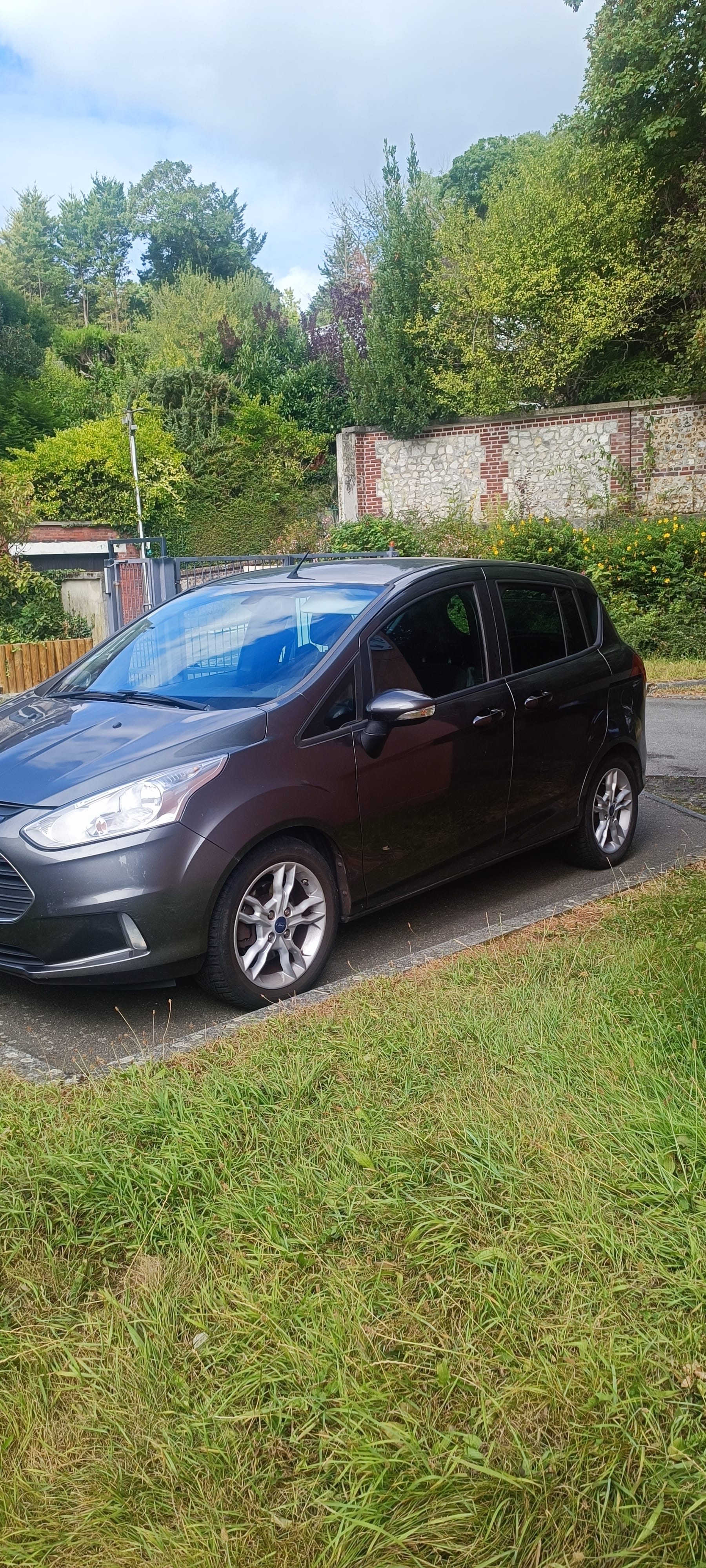Ford B-Max, 2014, Essence 95