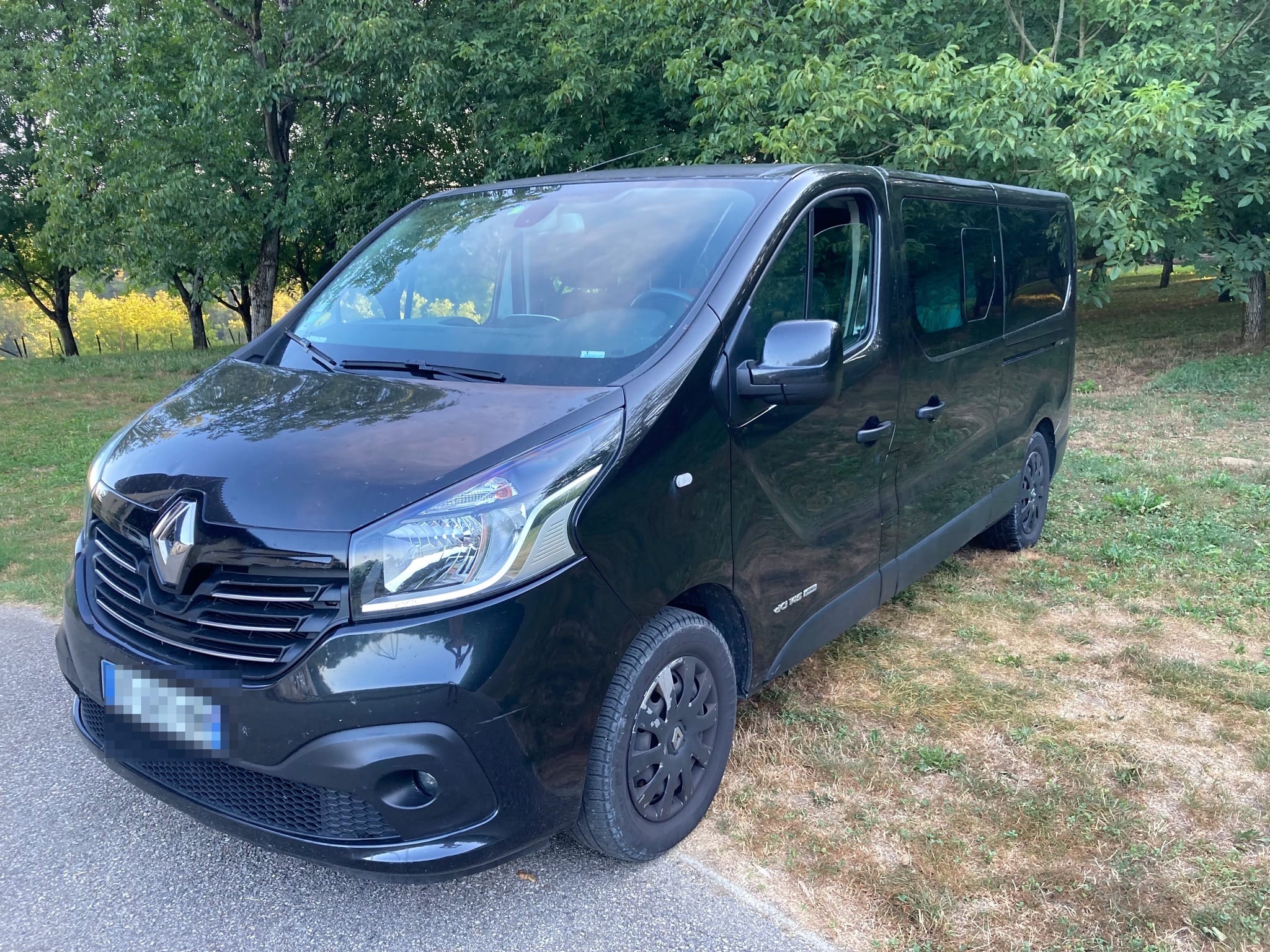 Renault Trafic, 2016, Diesel, 9 places et plus