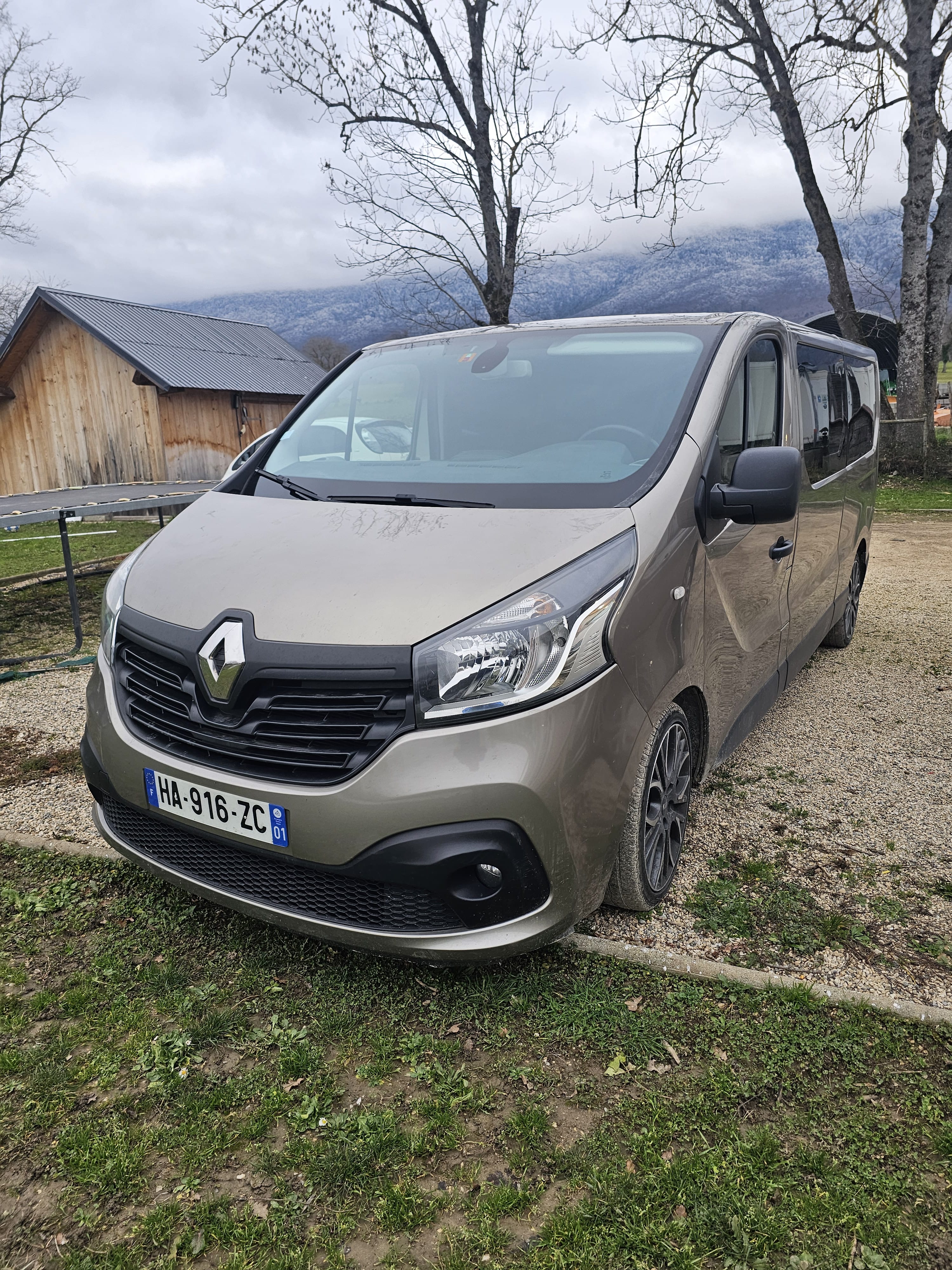 Renault Trafic Passenger, 2015, Diesel, 8 places