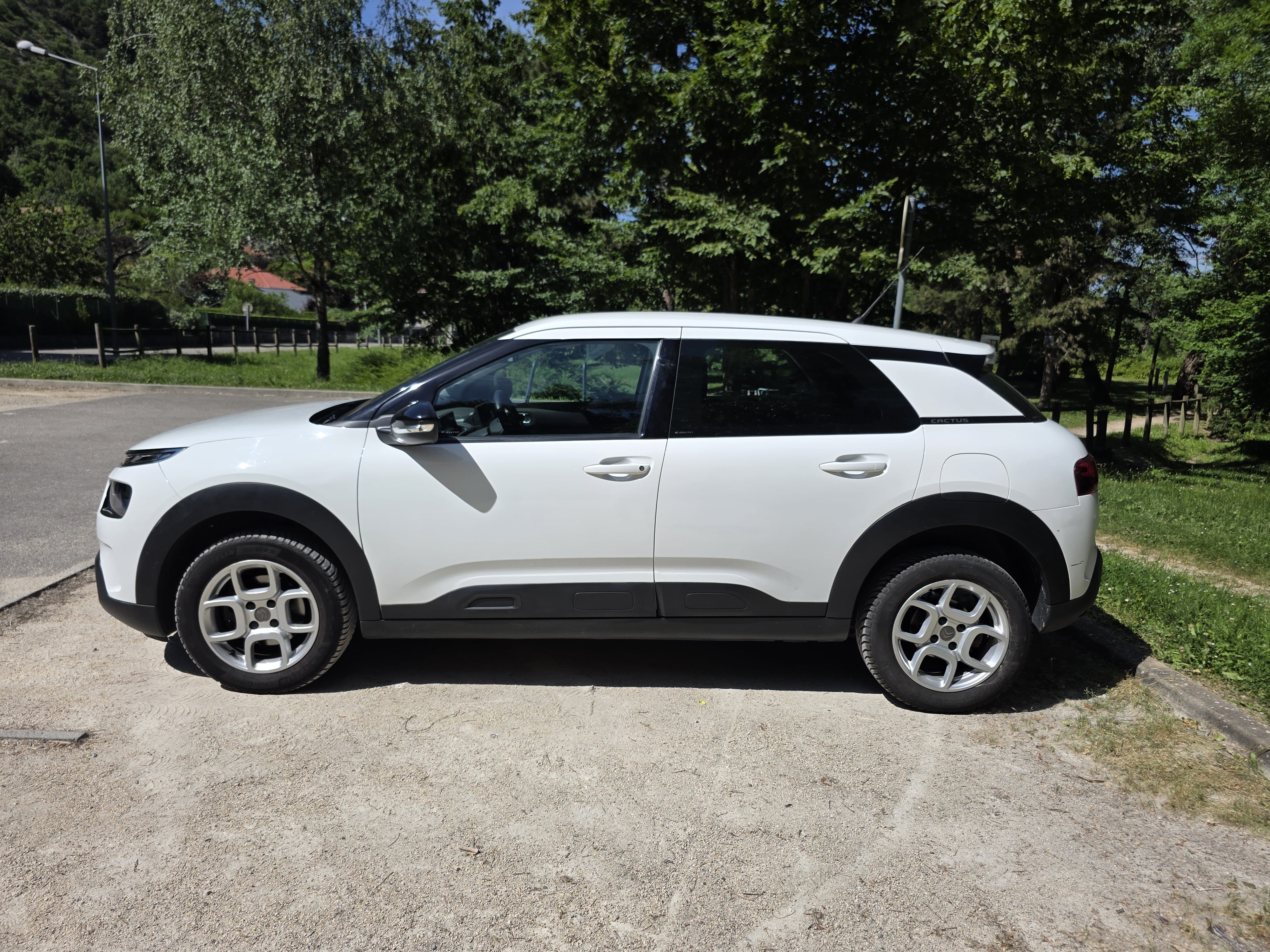 Citroen C4 Cactus avec Climatisation