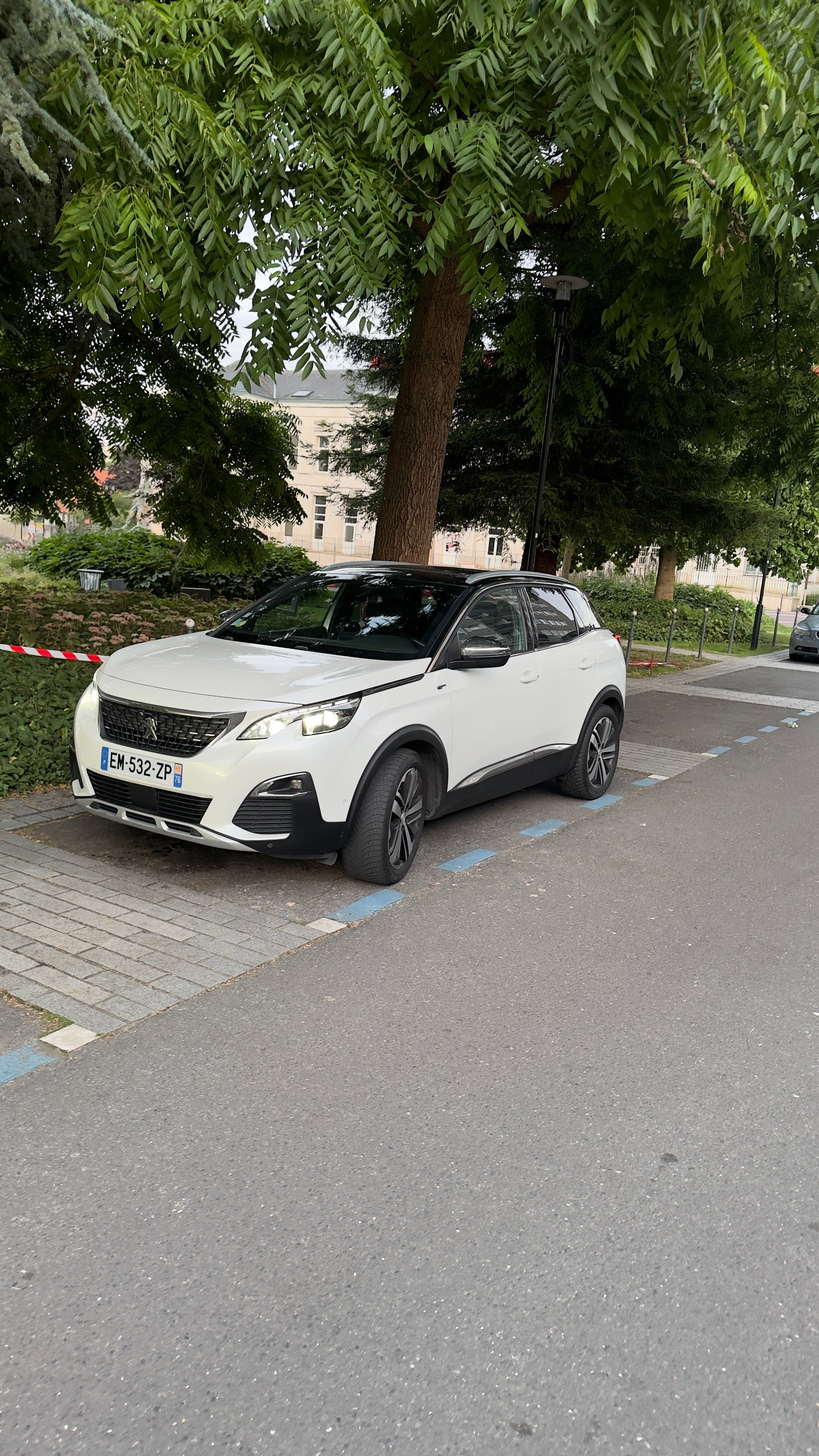 Peugeot 3008 avec Siège bébé