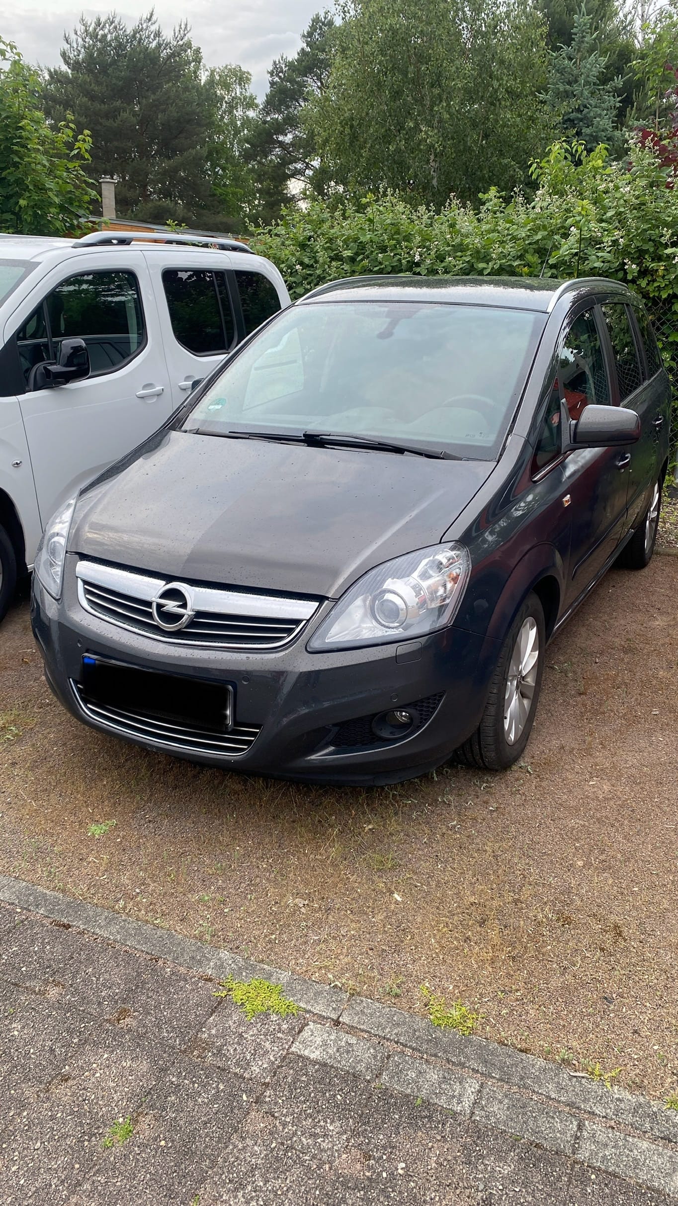 Opel Zafira 7 Sitzer, 2014, Super 95, 7 Sitze