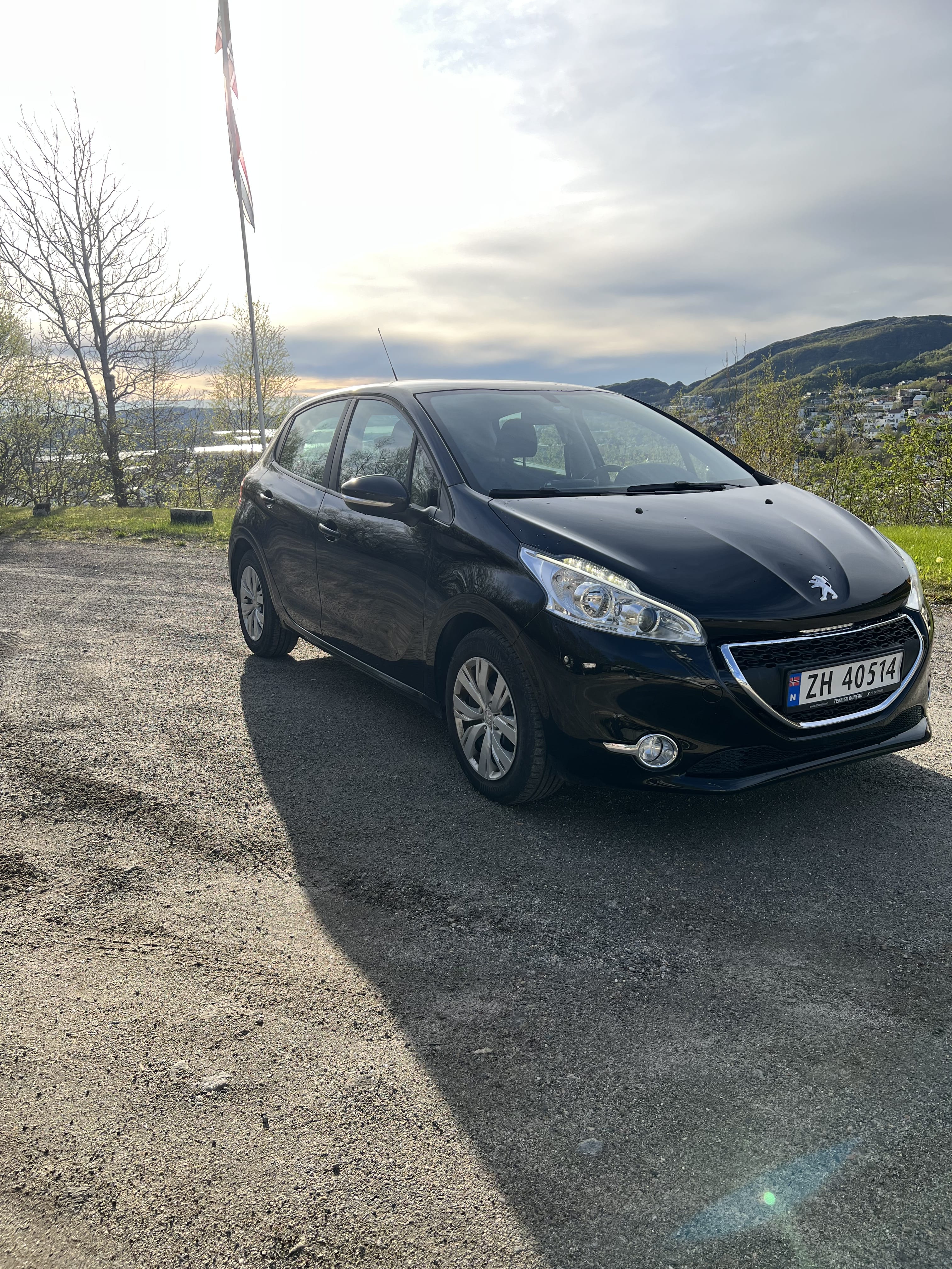 Peugeot 208, 2014, Diesel