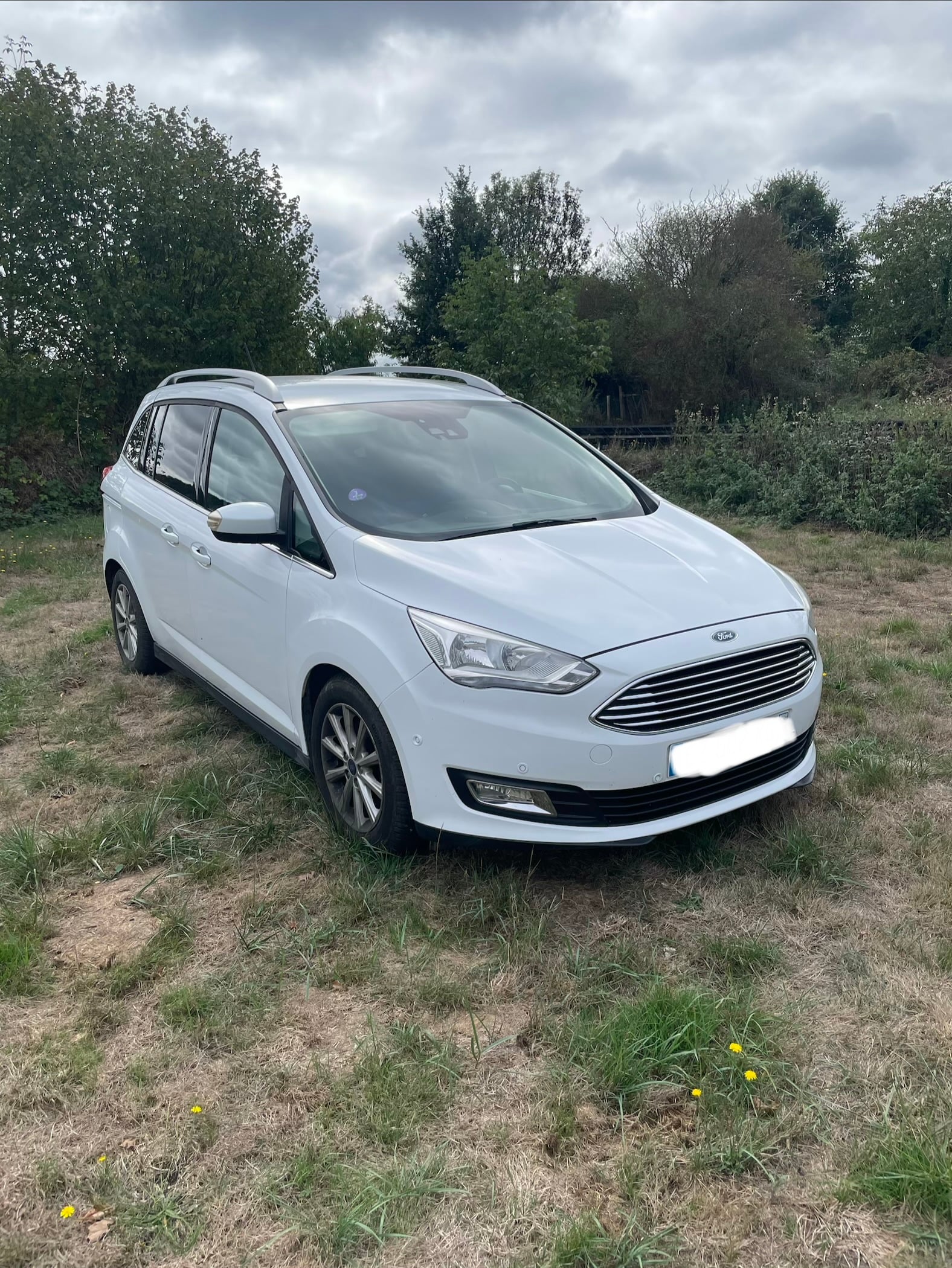Ford Grand C-Max, 2018, 7 places