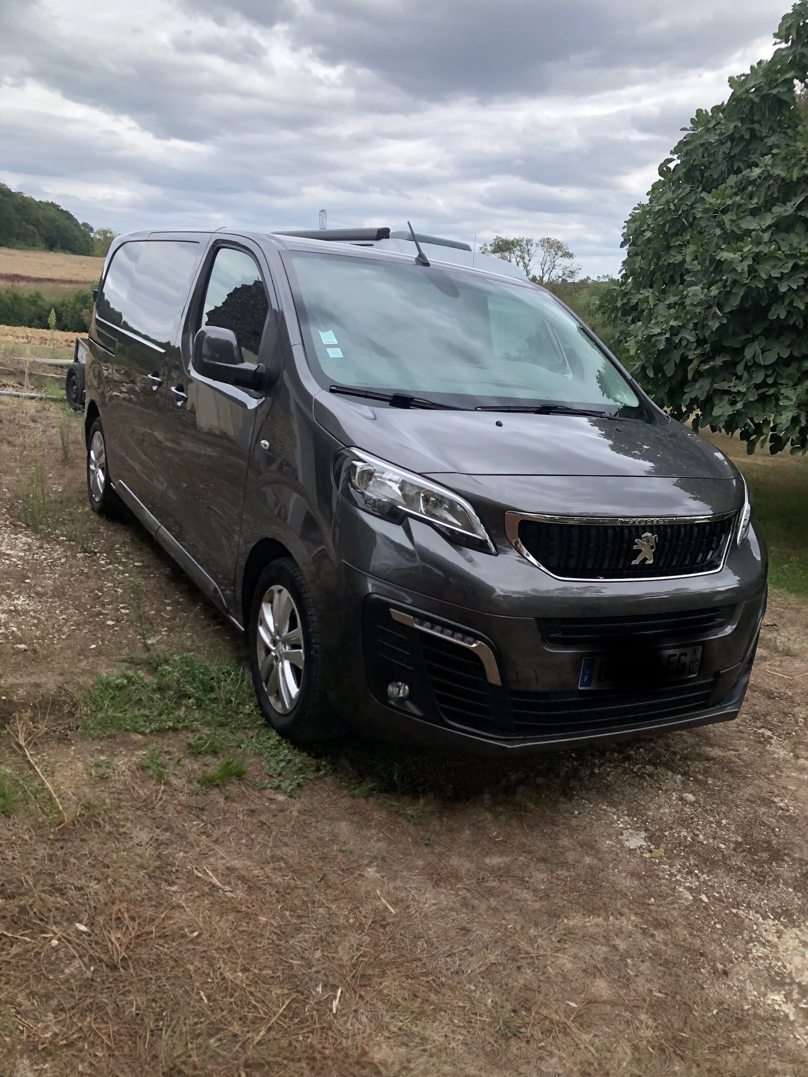 Peugeot Expert, 2021, Diesel, automatique