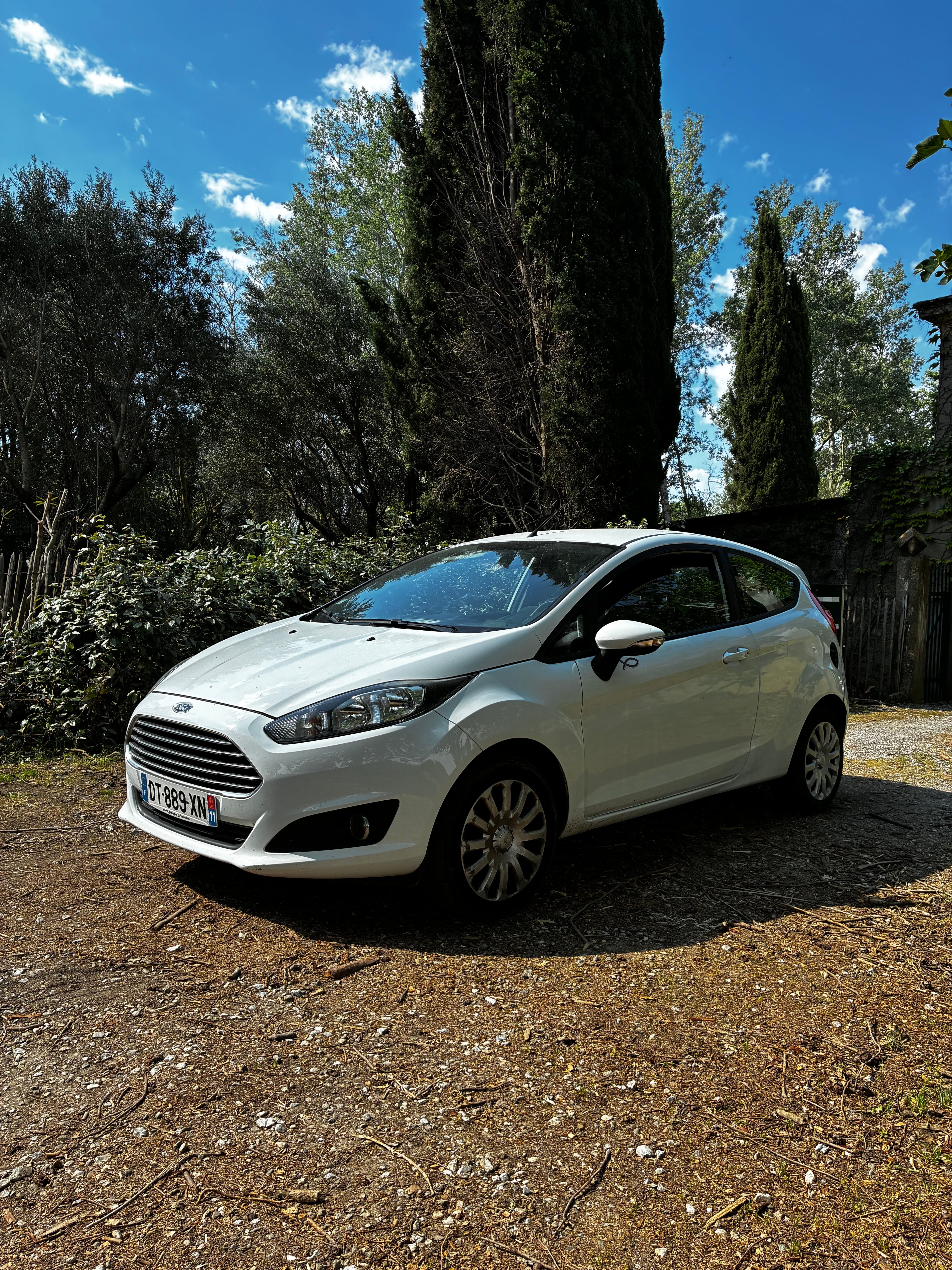 Ford Fiesta met Bluetooth audio