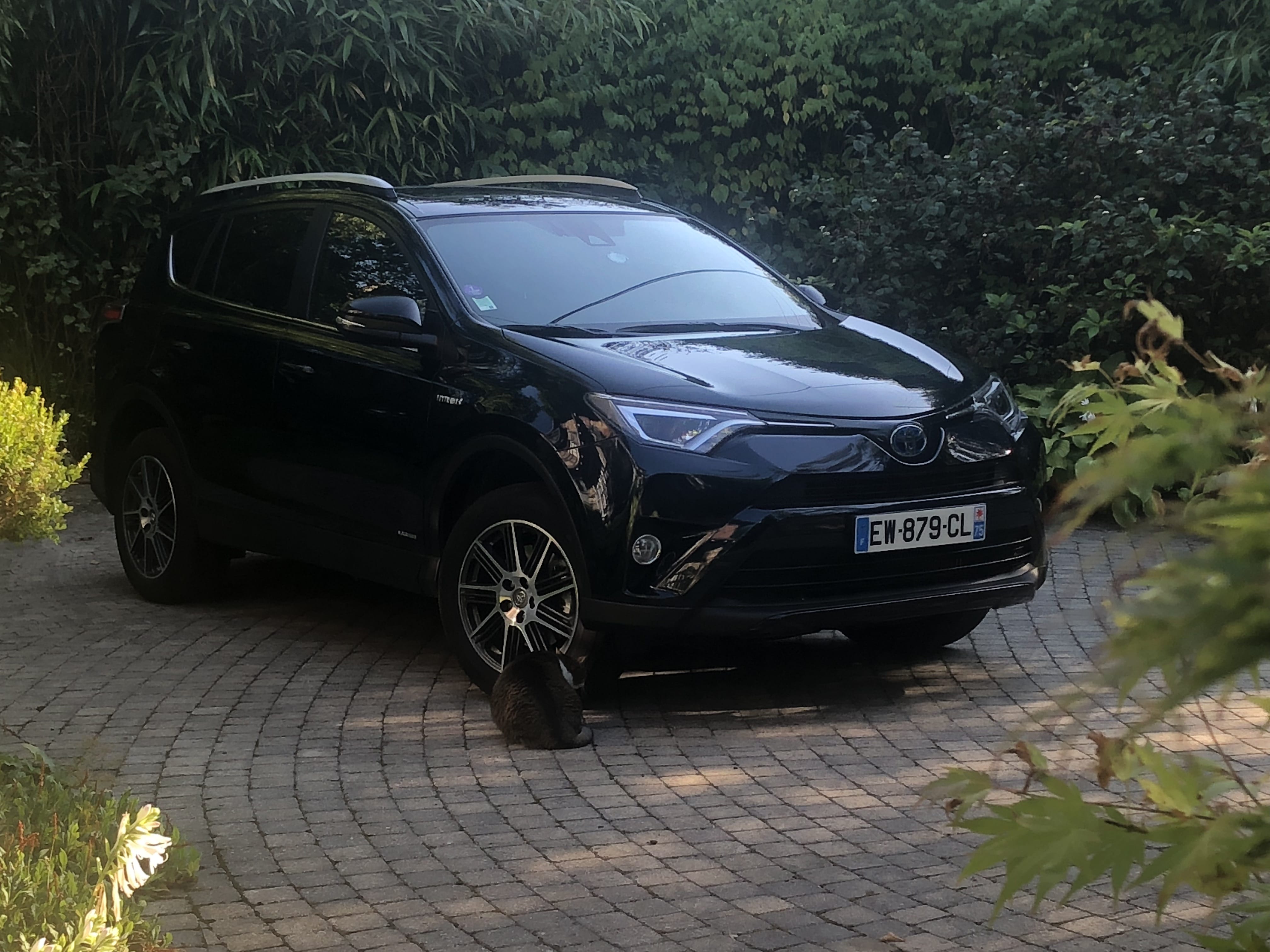 Toyota RAV4 Hybride, 2018, Essence 95 / Électrique (hybride), automatique