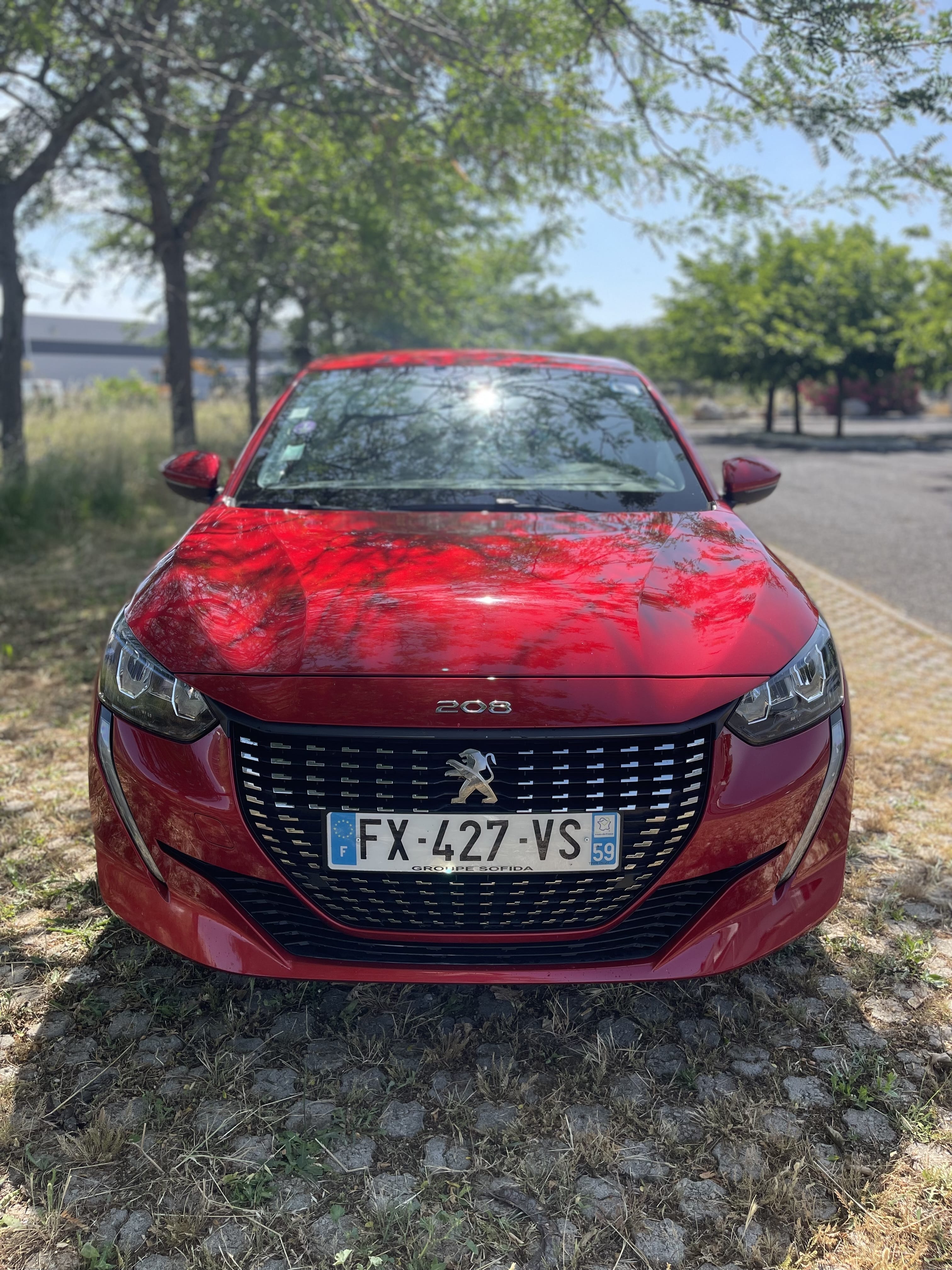 Peugeot 208 met Cruise control