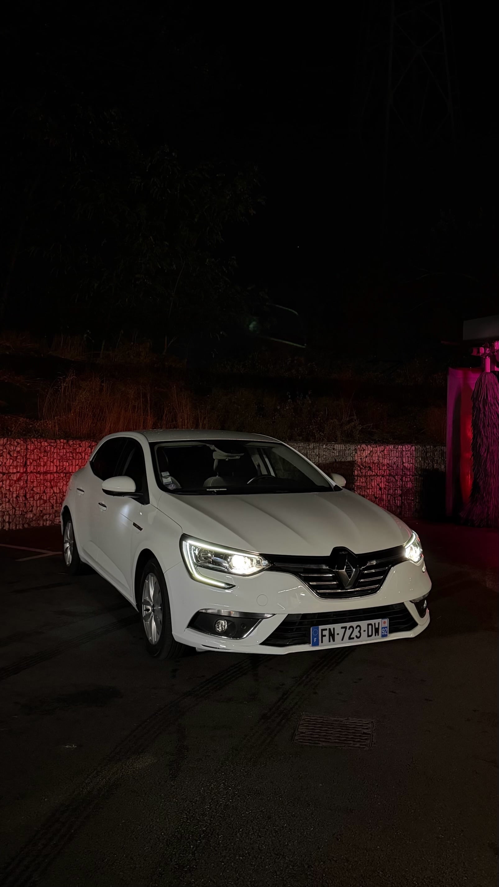 Renault Mégane, 2019, Essence 98