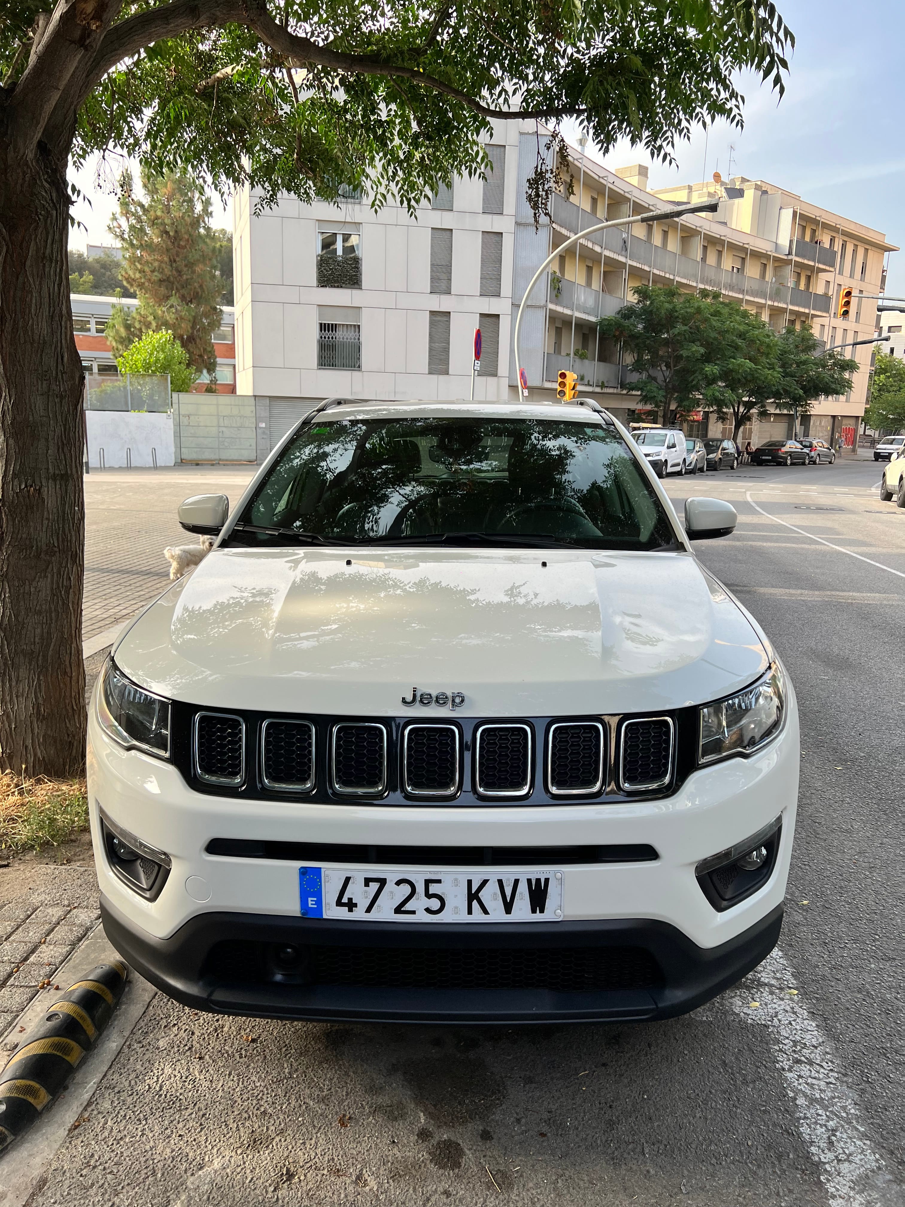 Jeep Compass, 2019, Gasolina 95