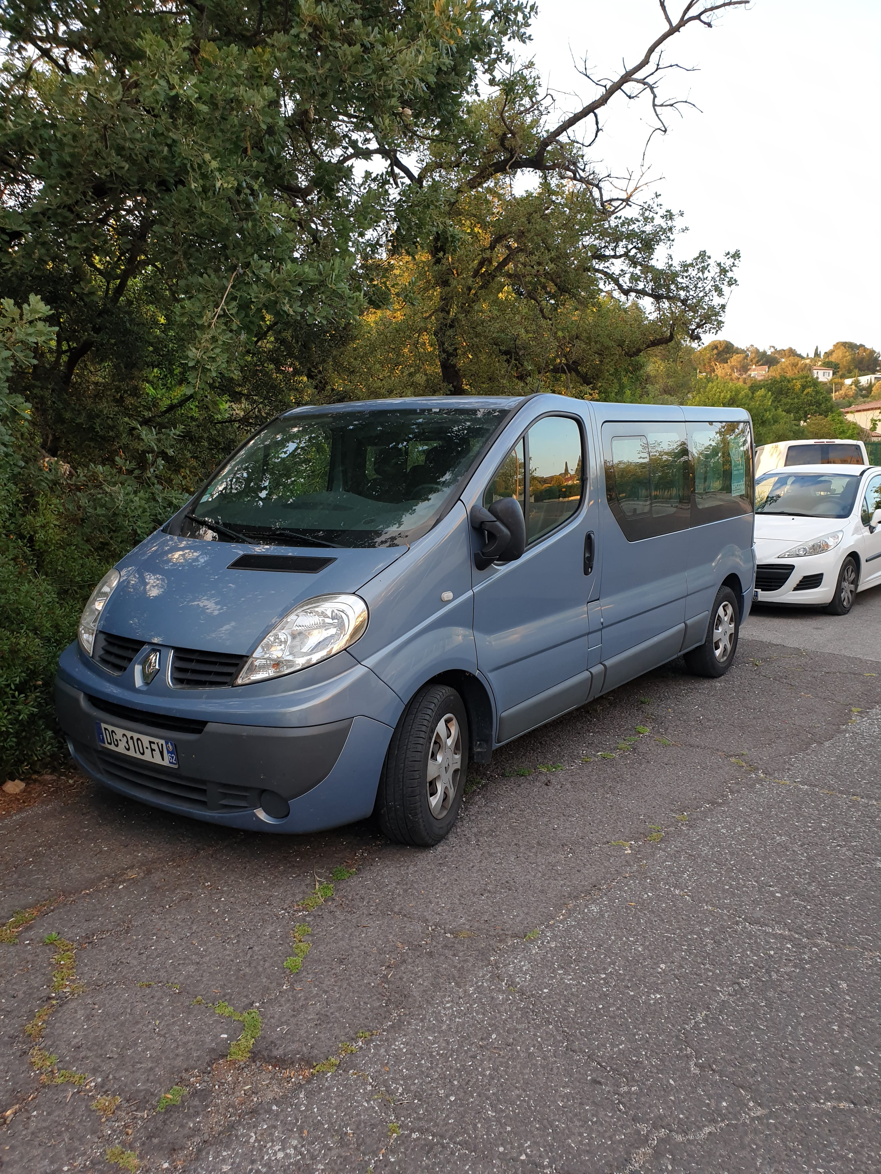 Renault Trafic Passenger, 2014, Diesel, 9 places et plus