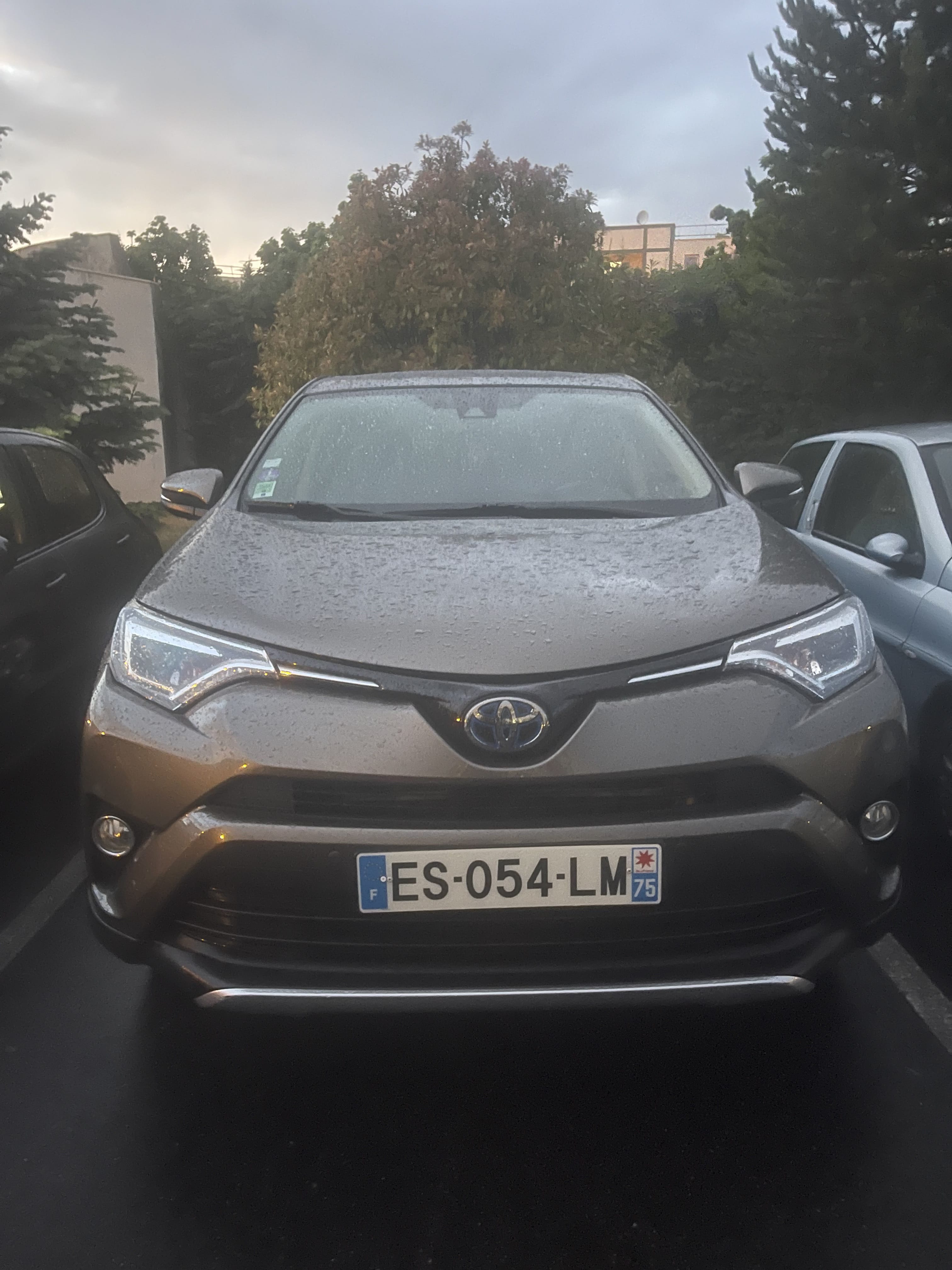 Toyota RAV 4 Hybride, 2017, Essence 98 / Électrique (hybride), automatique