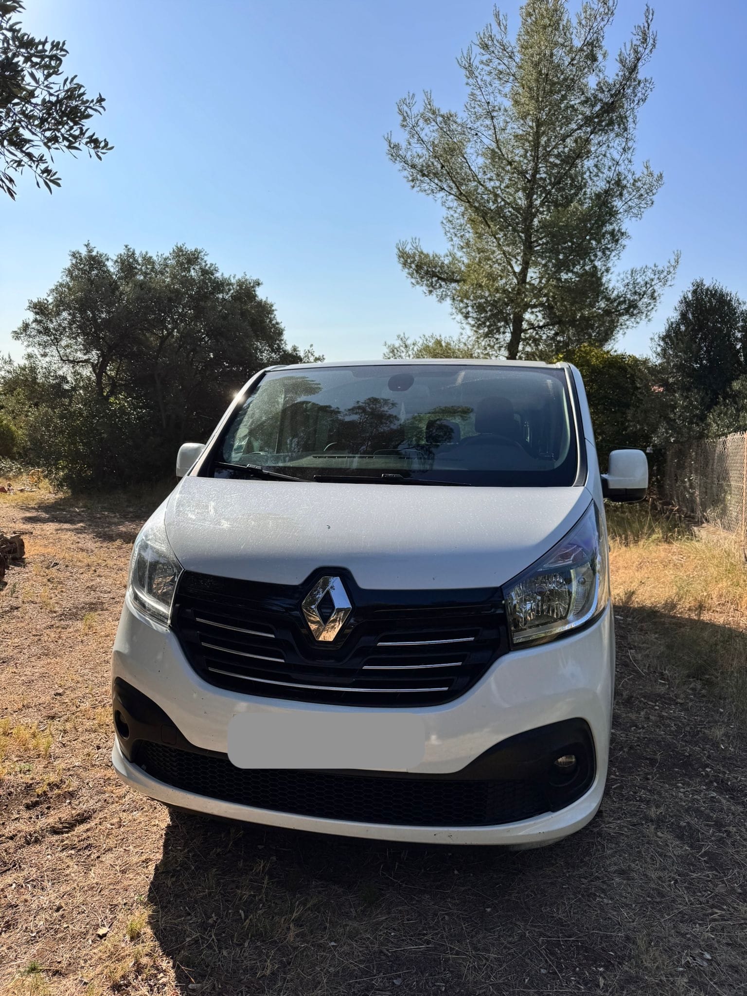 Renault Trafic, 2017, Diesel, 8 places