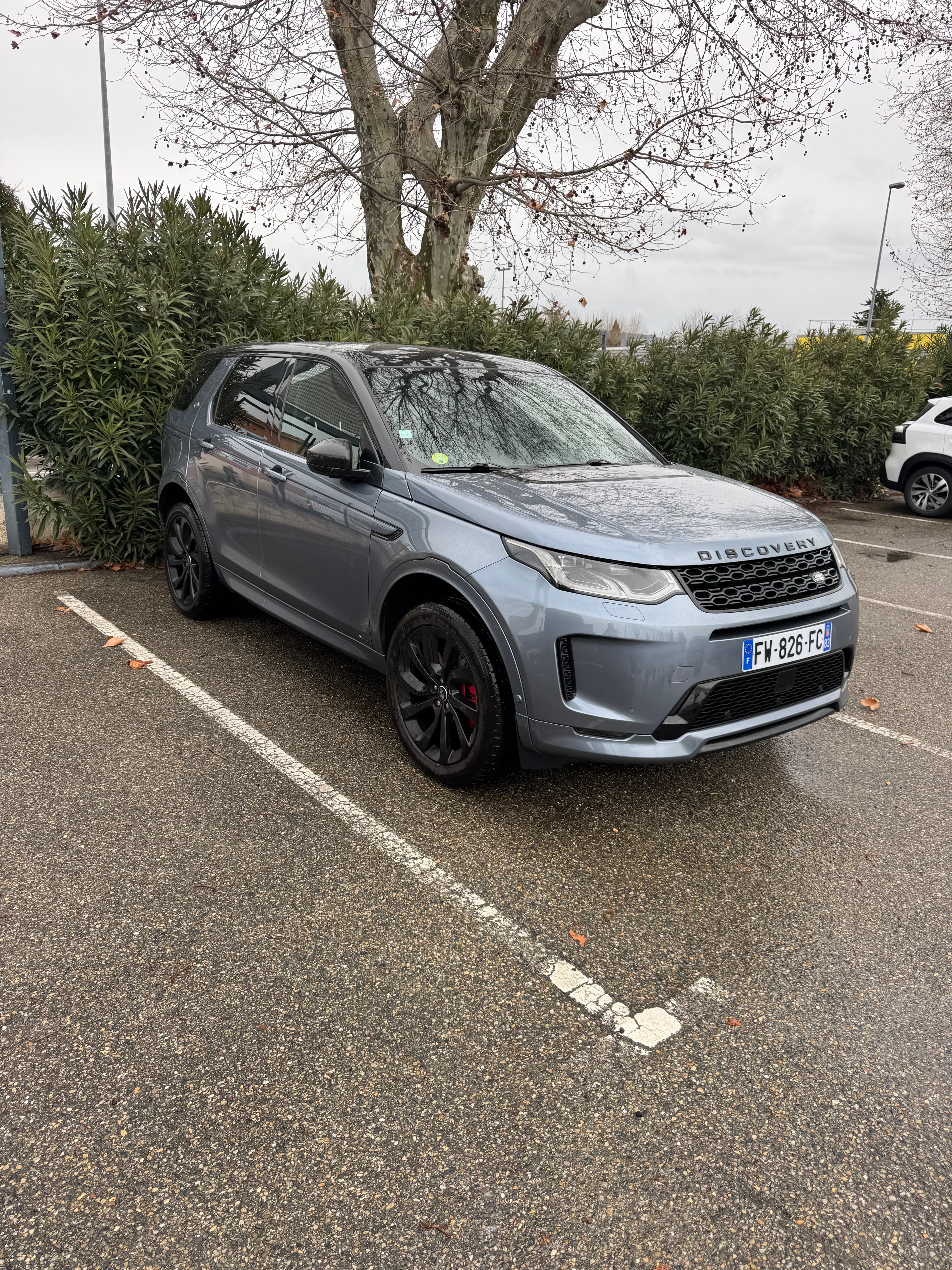 Land-Rover Discovery Sport SE, 2020, Diesel / Électrique (hybride), automatique, 7 places