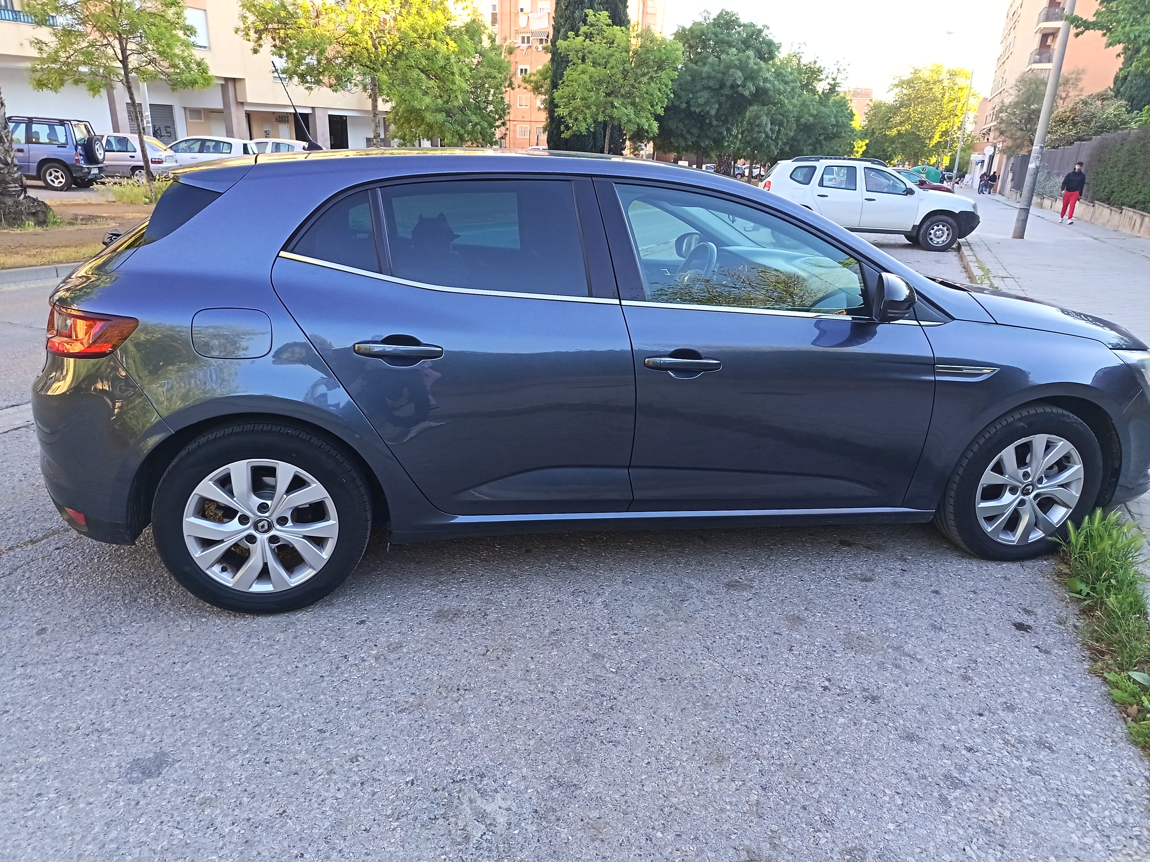 Renault Mégane con GPS