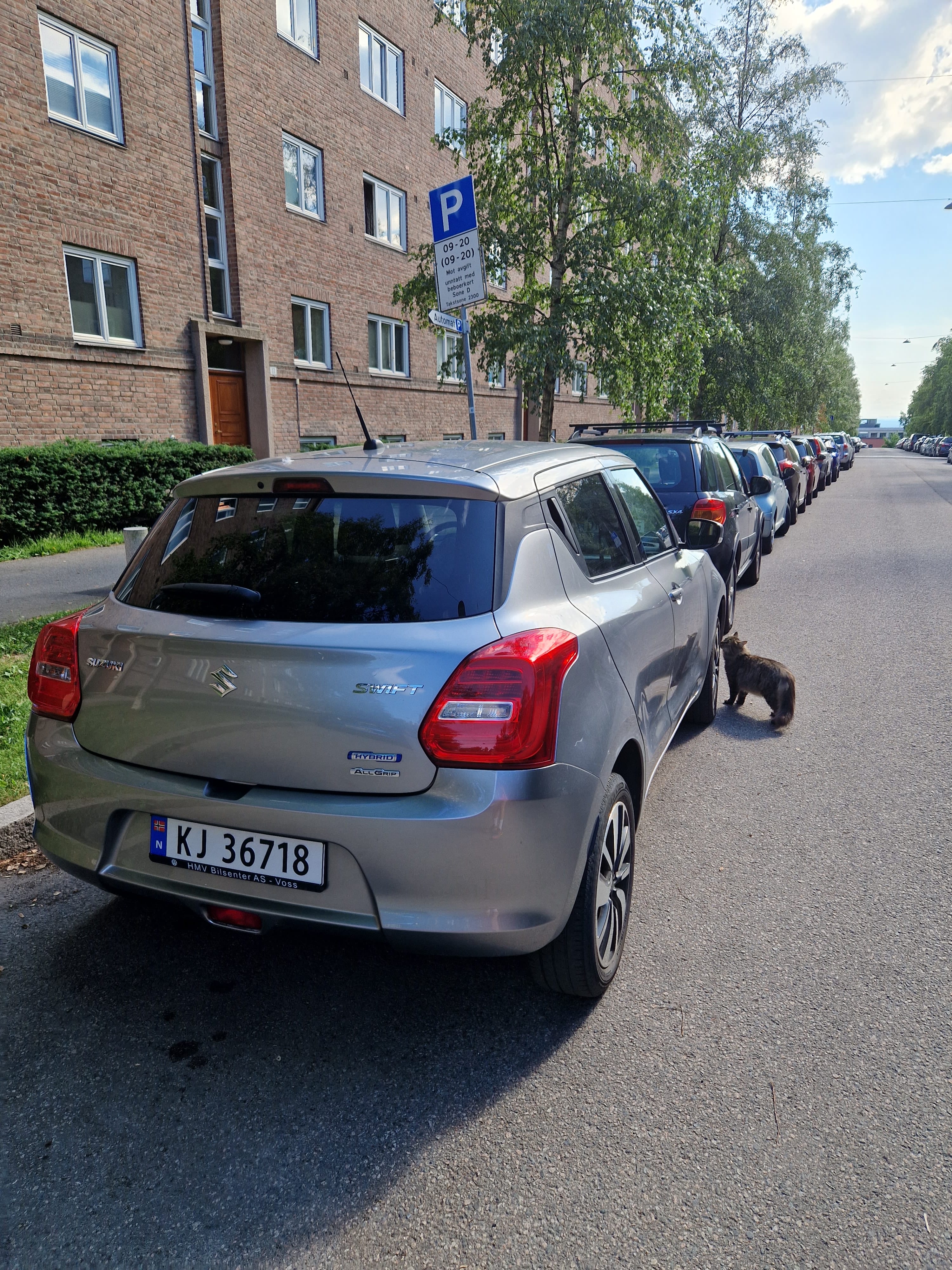 Suzuki Swift 4 x 4 Hybrid med Cruisekontroll